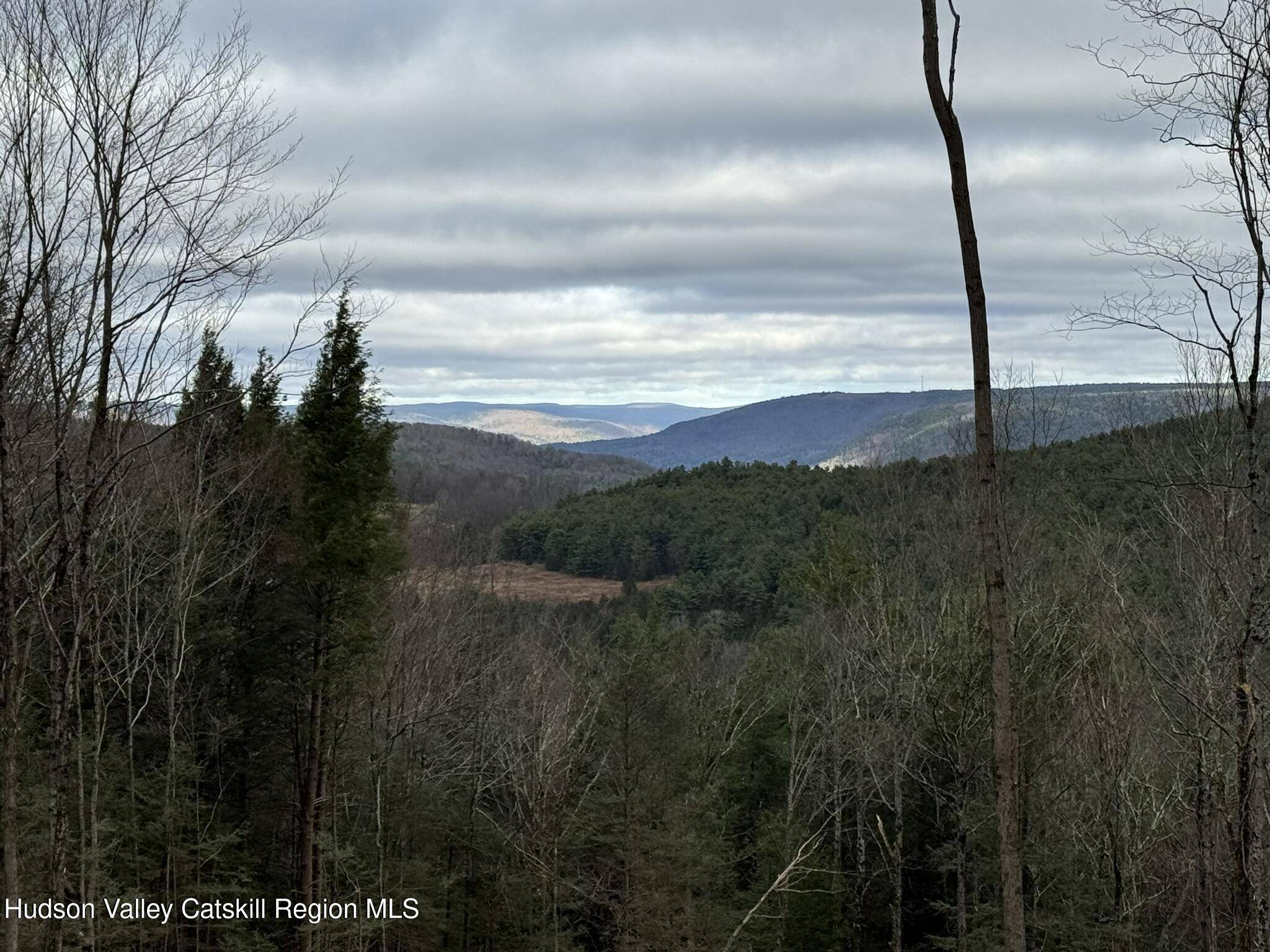 Grand Gorge, NY 12434,Tbd State Hwy 23