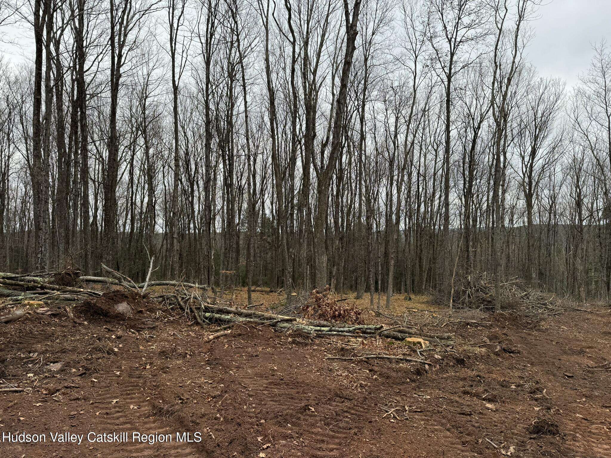 Grand Gorge, NY 12434,Tbd State Hwy 23