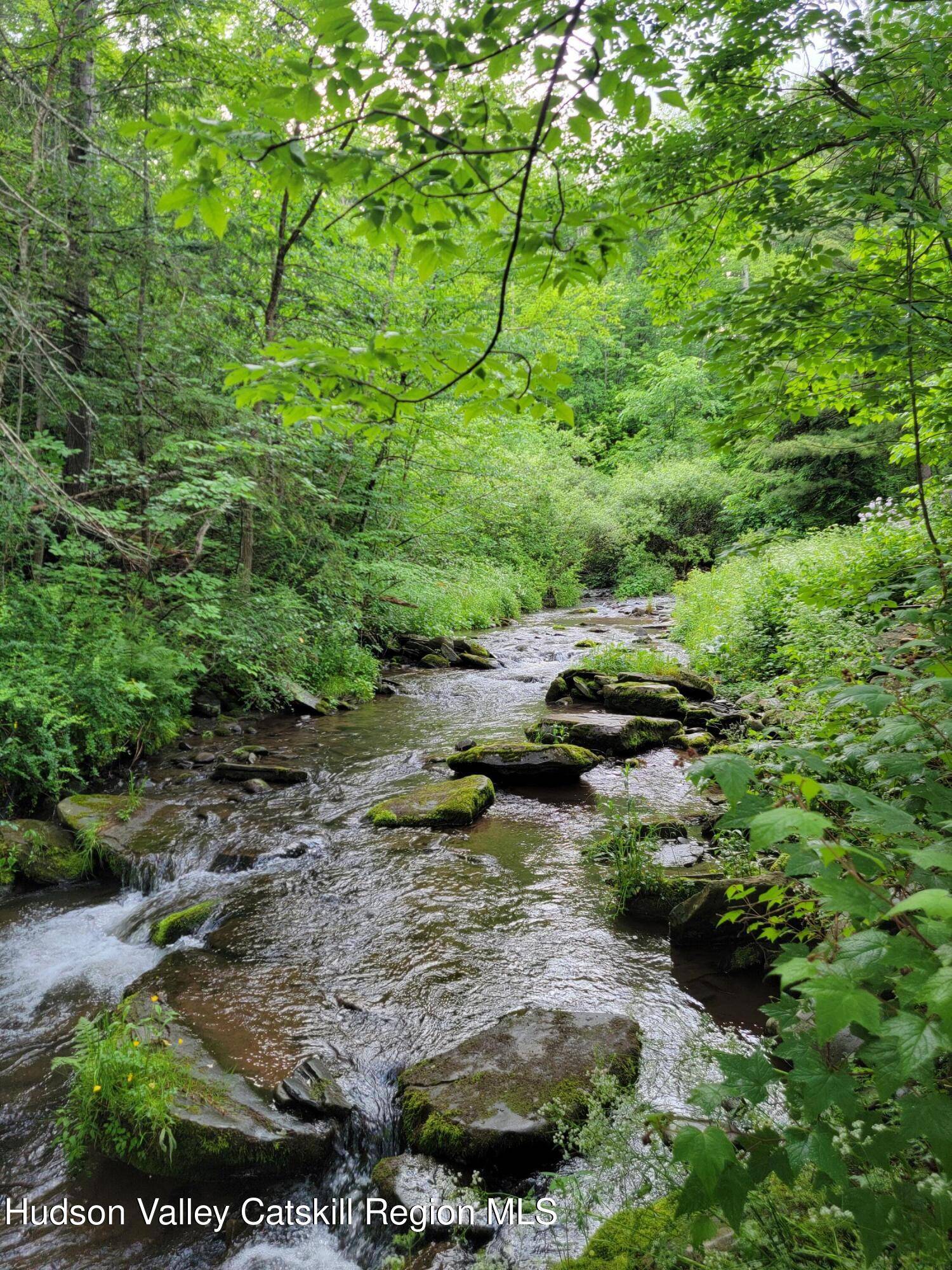 Pine Hill, NY 12465,51-53 Birch Creek RD