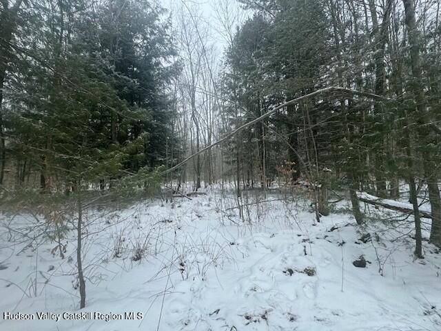 Hastings, NY 13706,Tbd County Route 84