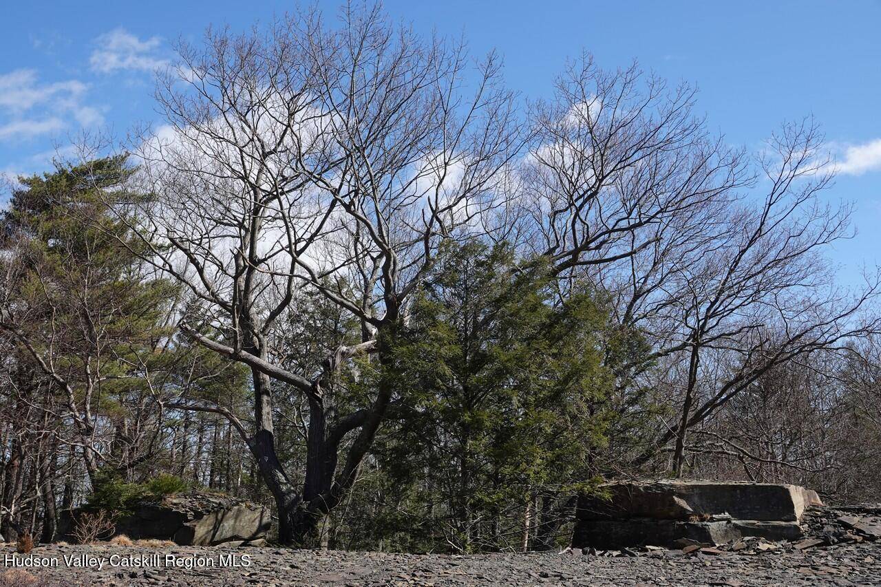 Saugerties, NY 12477,736-738 Manorville RD