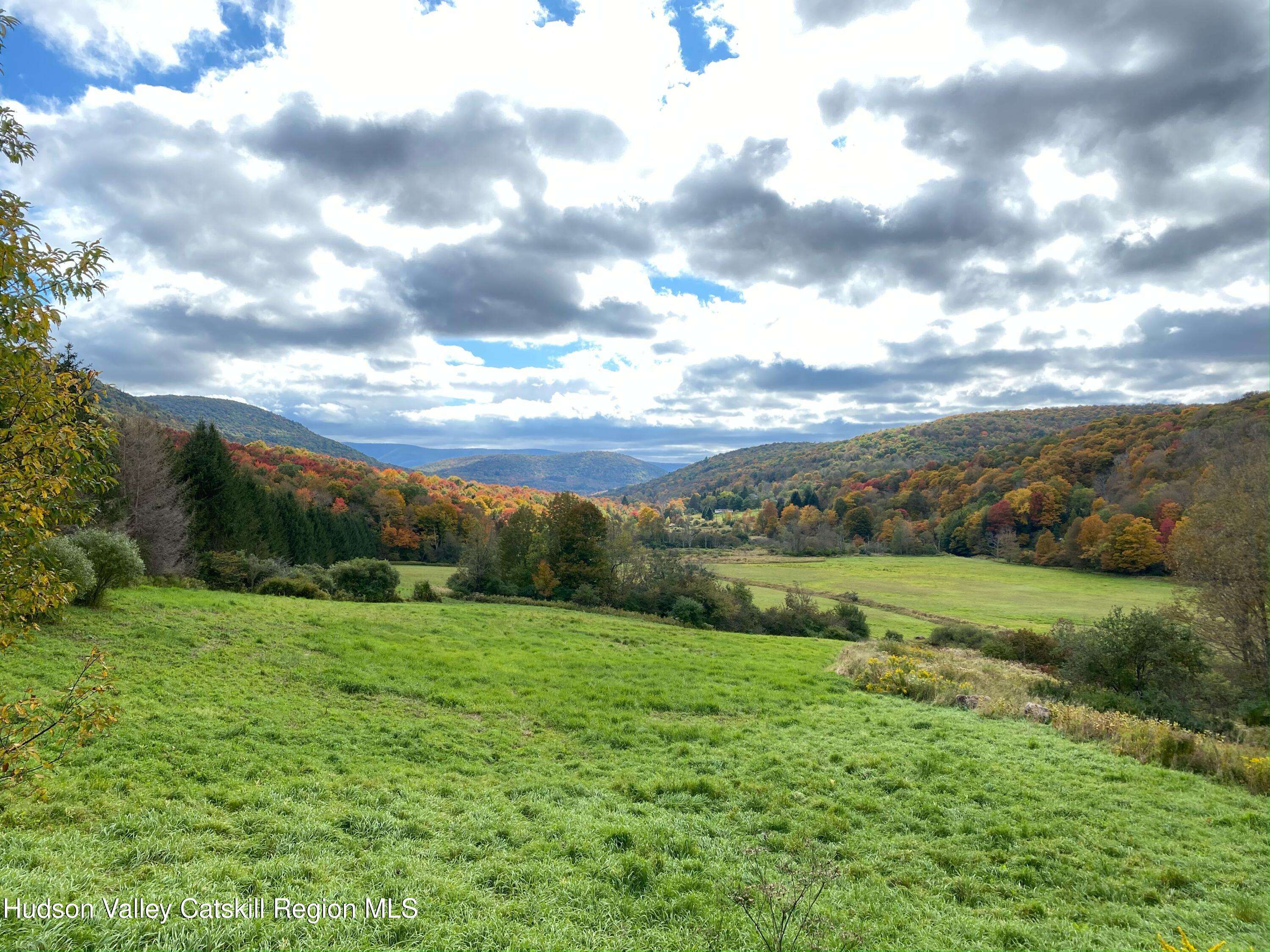 Denver, NY 12421,Tbd Dimmick Mountain Rd. RD