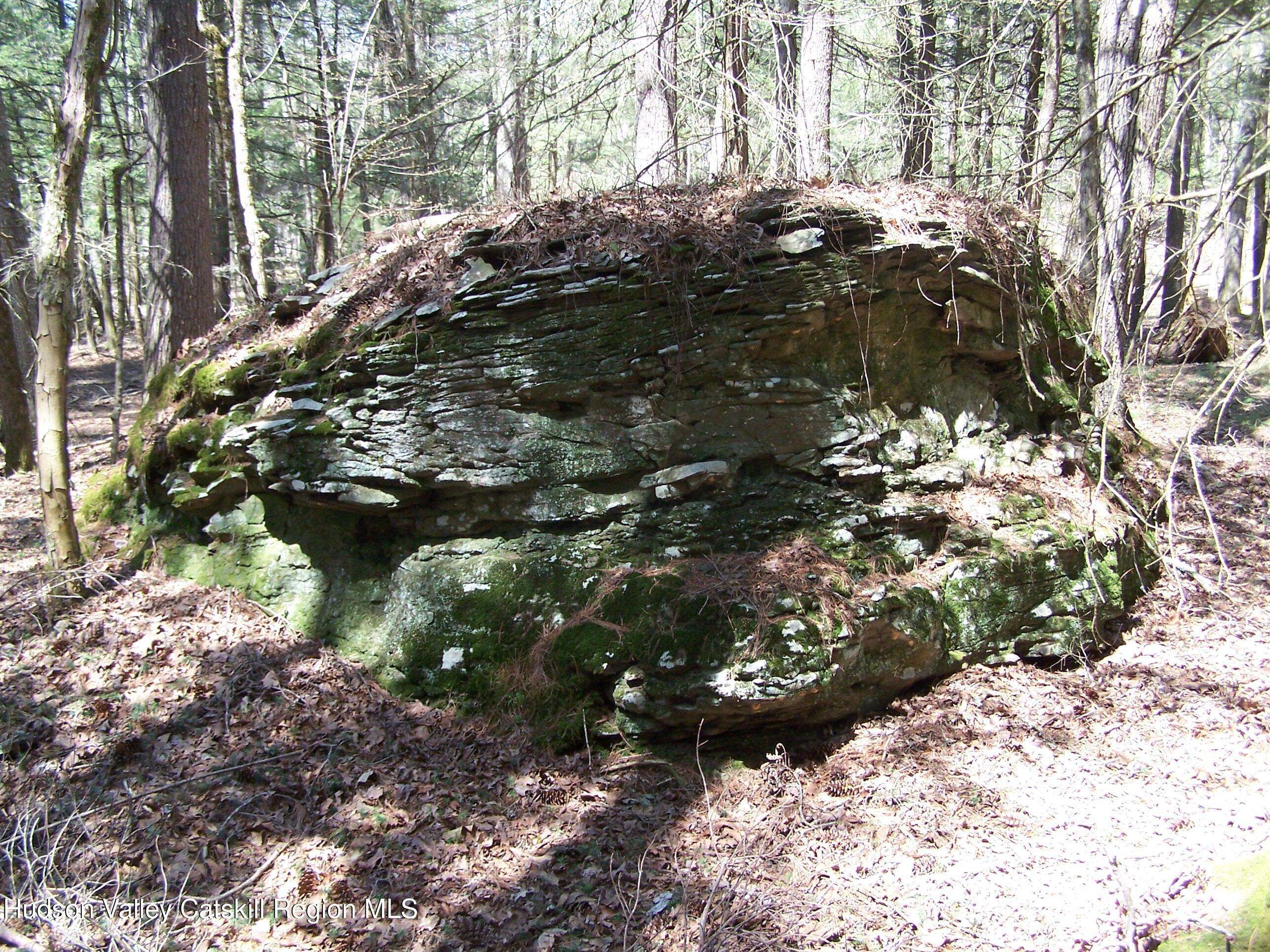 Stone Ridge, NY 12484,Tbd Buck RD
