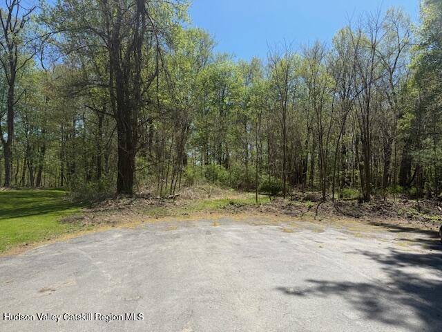 Stone Ridge, NY 12484,18 Stilba LN