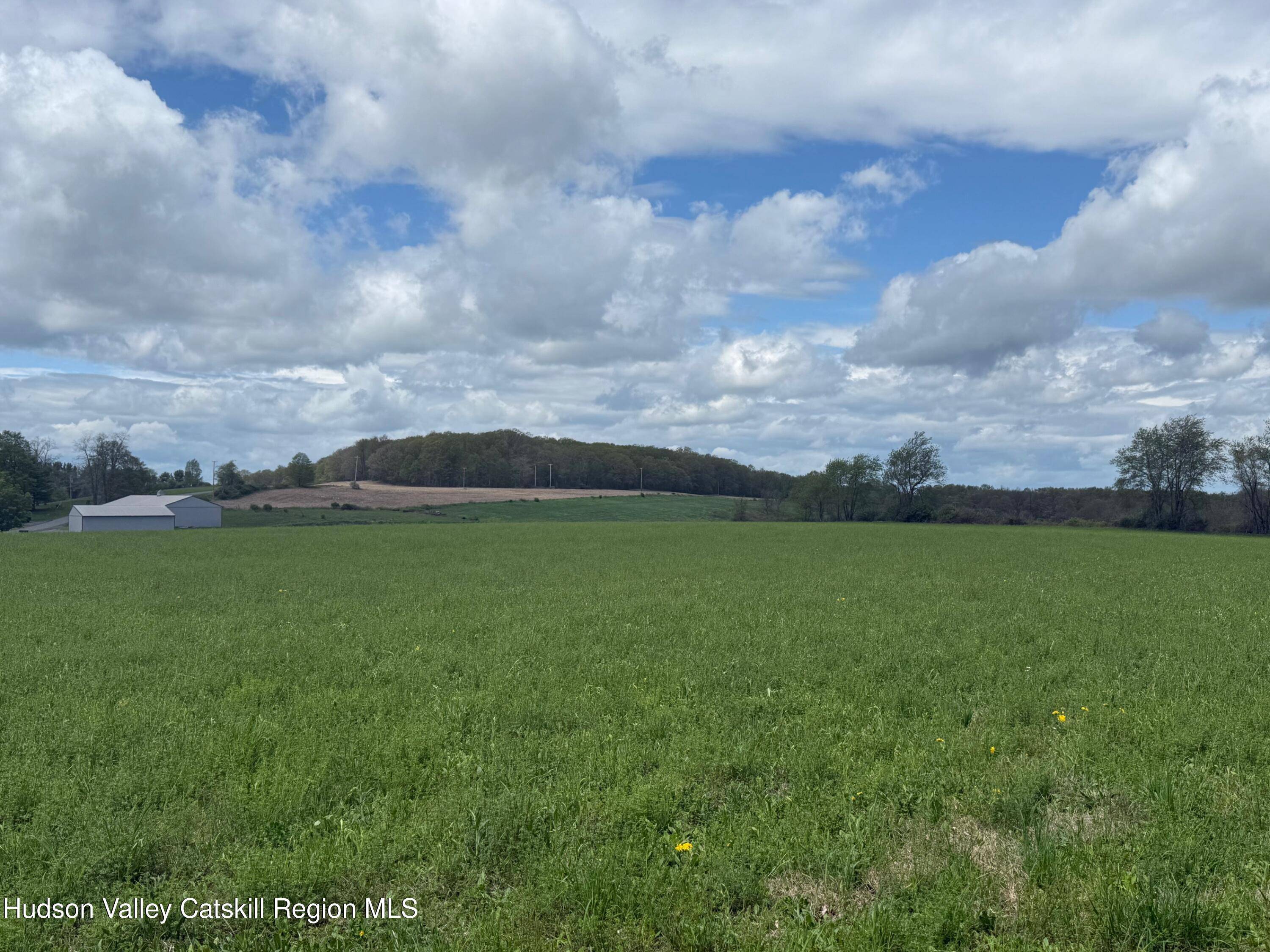 Millerton, NY 12546,317 Skunks Misery RD