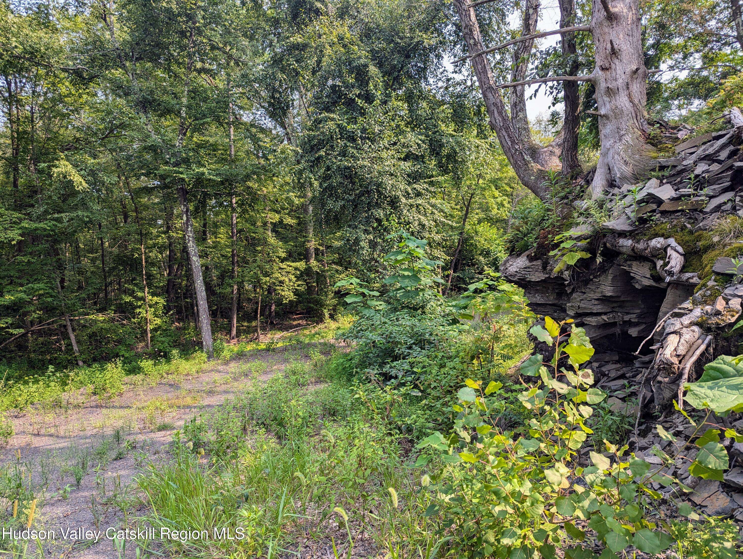 Kingston, NY 12401,Tbd Clearhorn RD