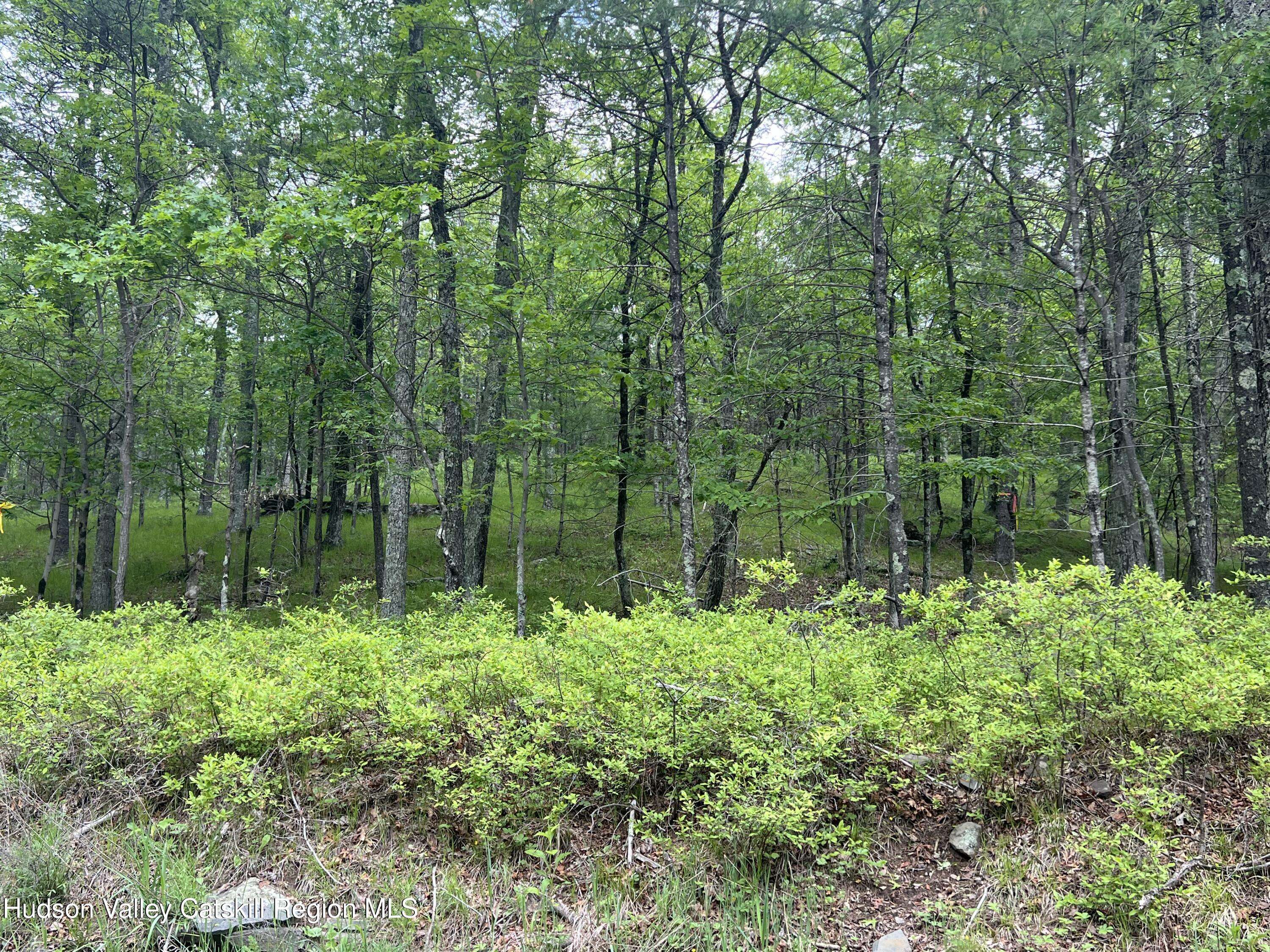 West Hurley, NY 12491,Tbd Ny-28a