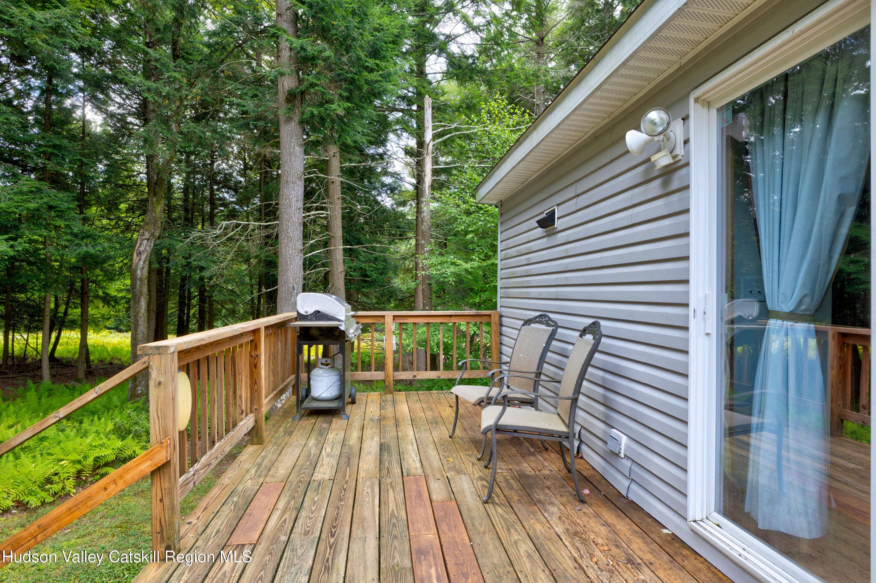 Ashland, NY 12407,190 Deer Run RD