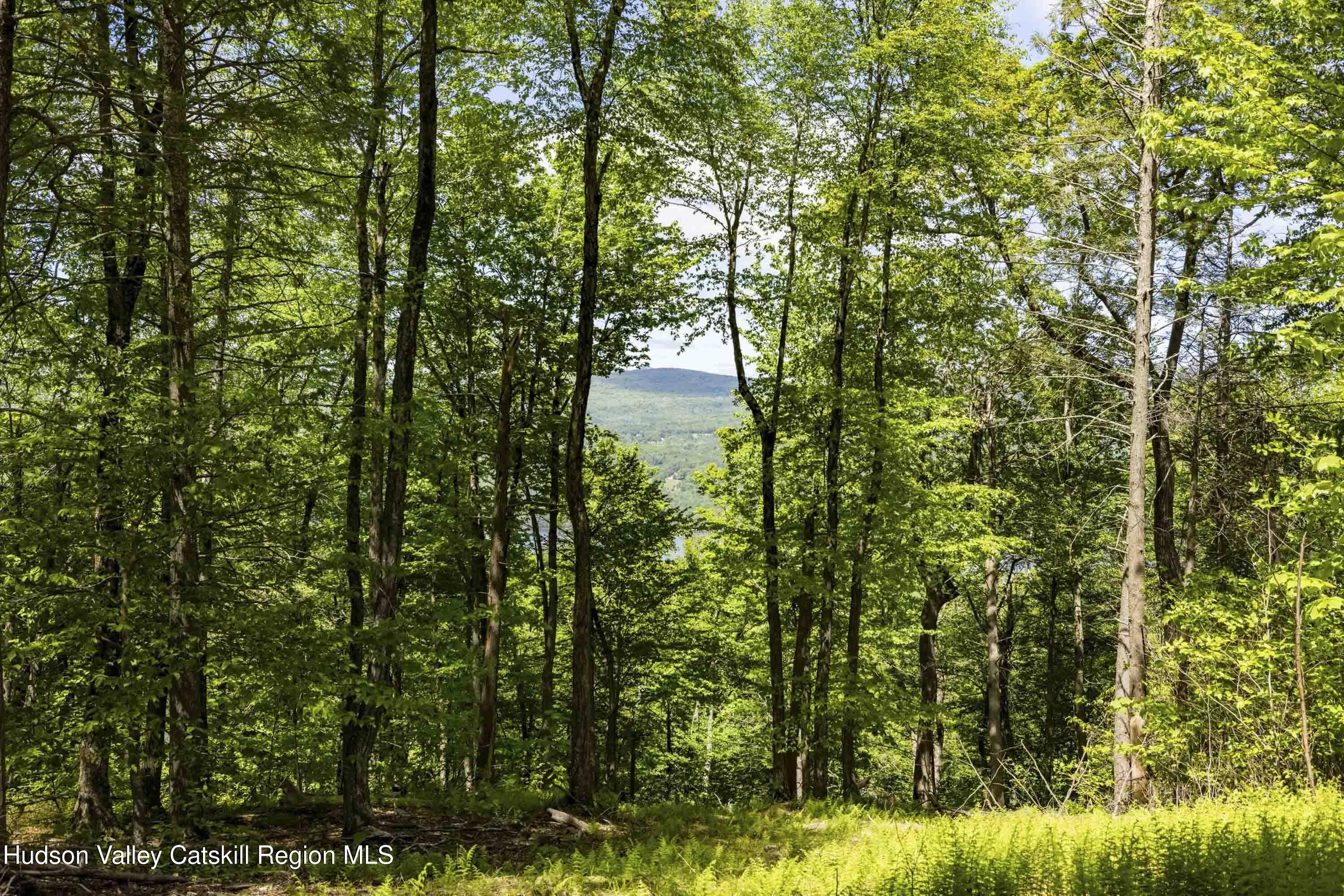Wawarsing, NY 12489,2 Red Rock RD