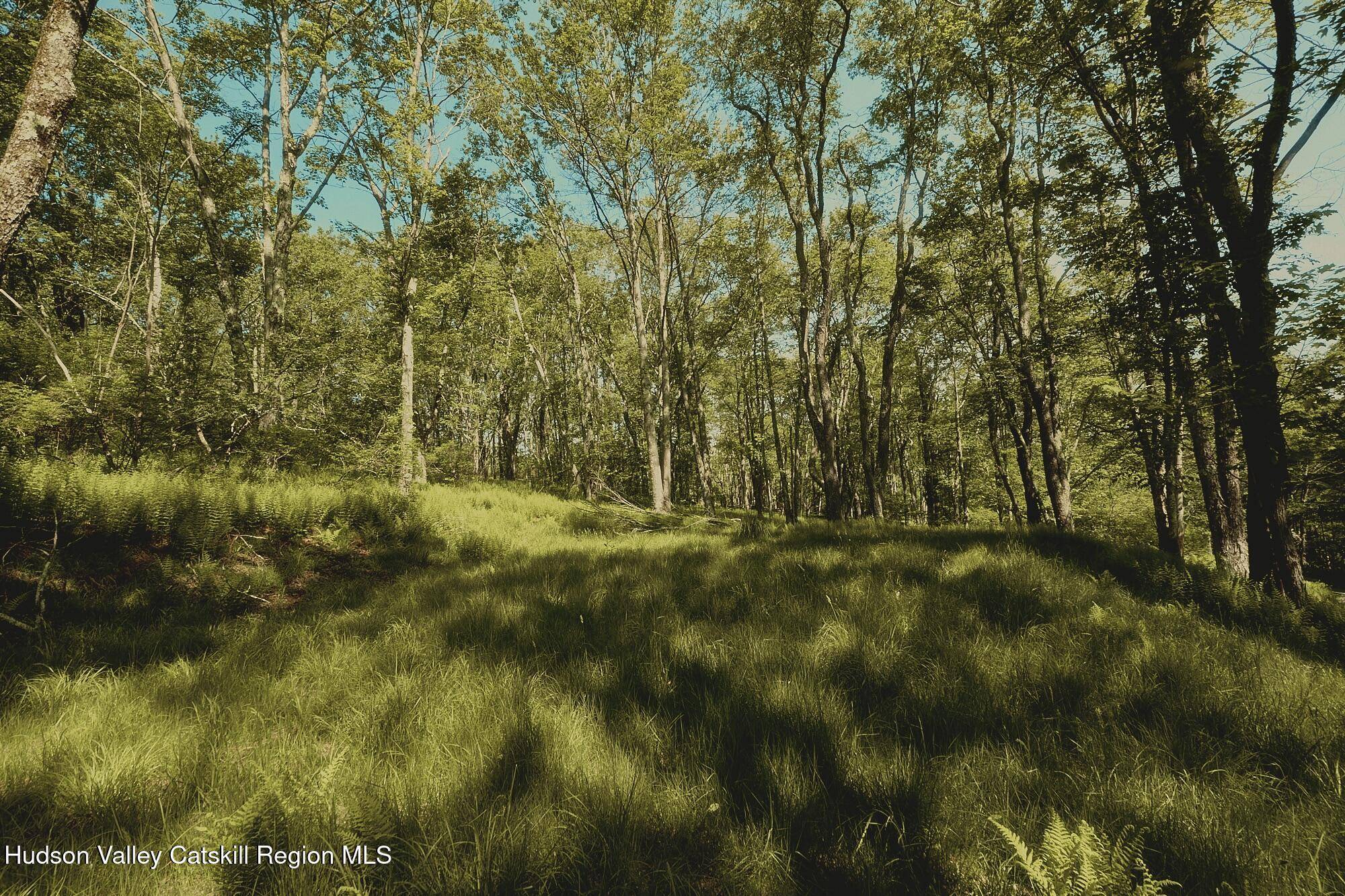 Liberty, NY 12754,0 Benton Hollow RD