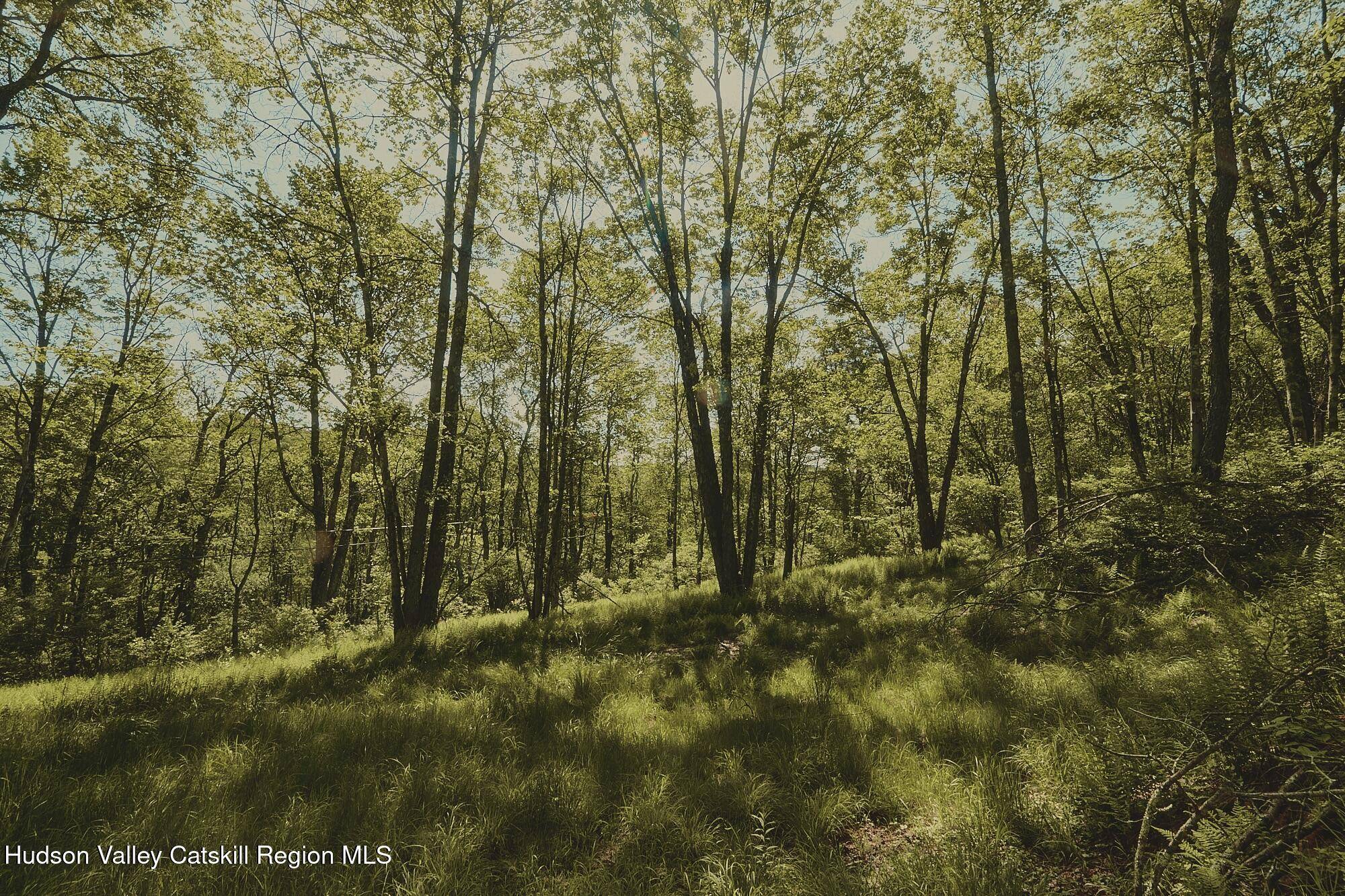 Liberty, NY 12754,0 Benton Hollow RD