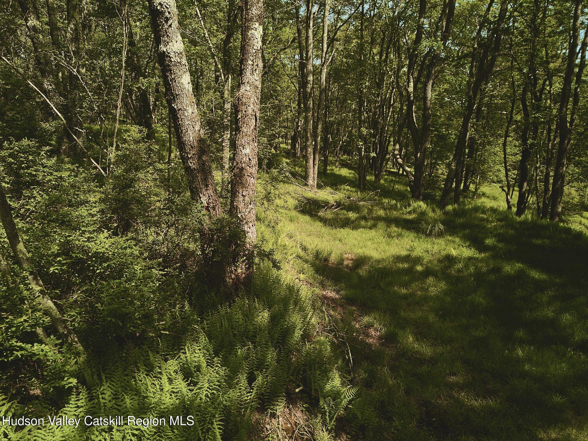 Liberty, NY 12754,0 Benton Hollow RD