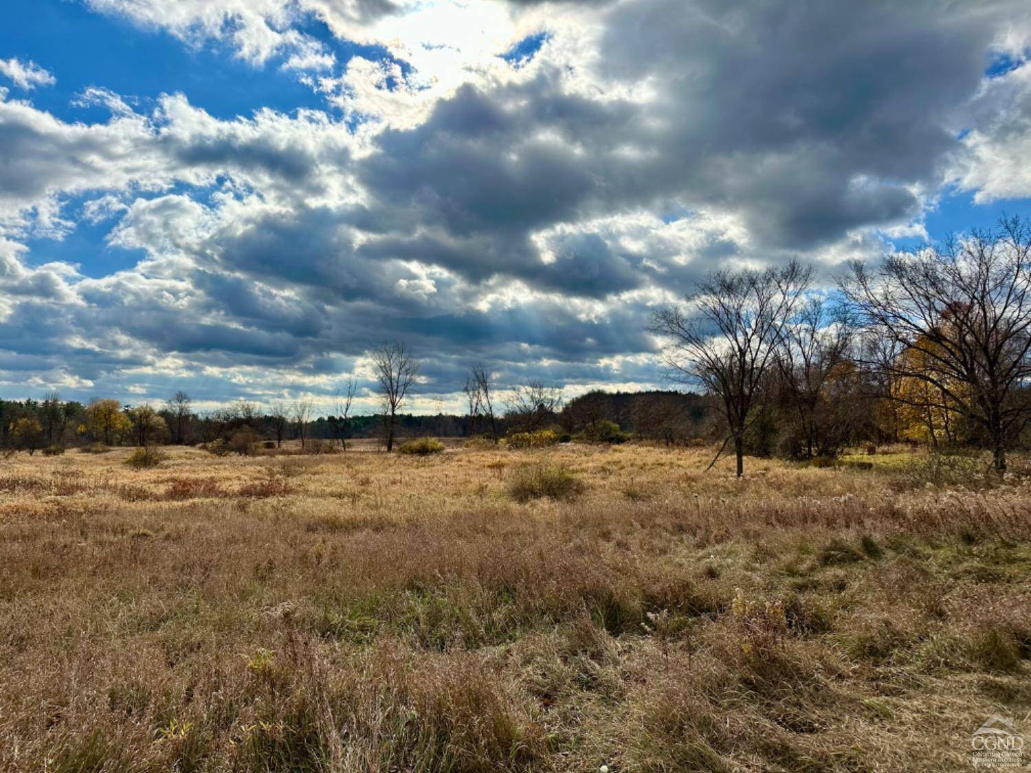 Greenville, NY 12083,217 Old Plank RD