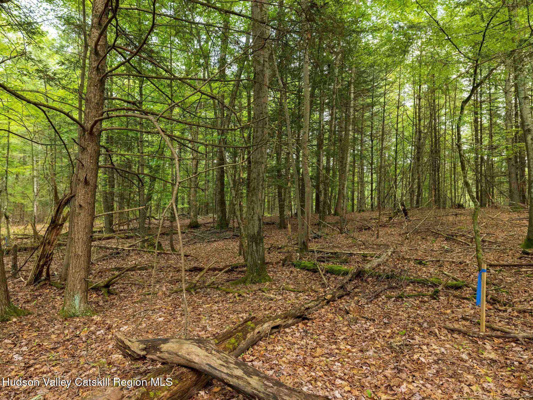 Woodstock, NY 12409,0 Lot 1 Church RD