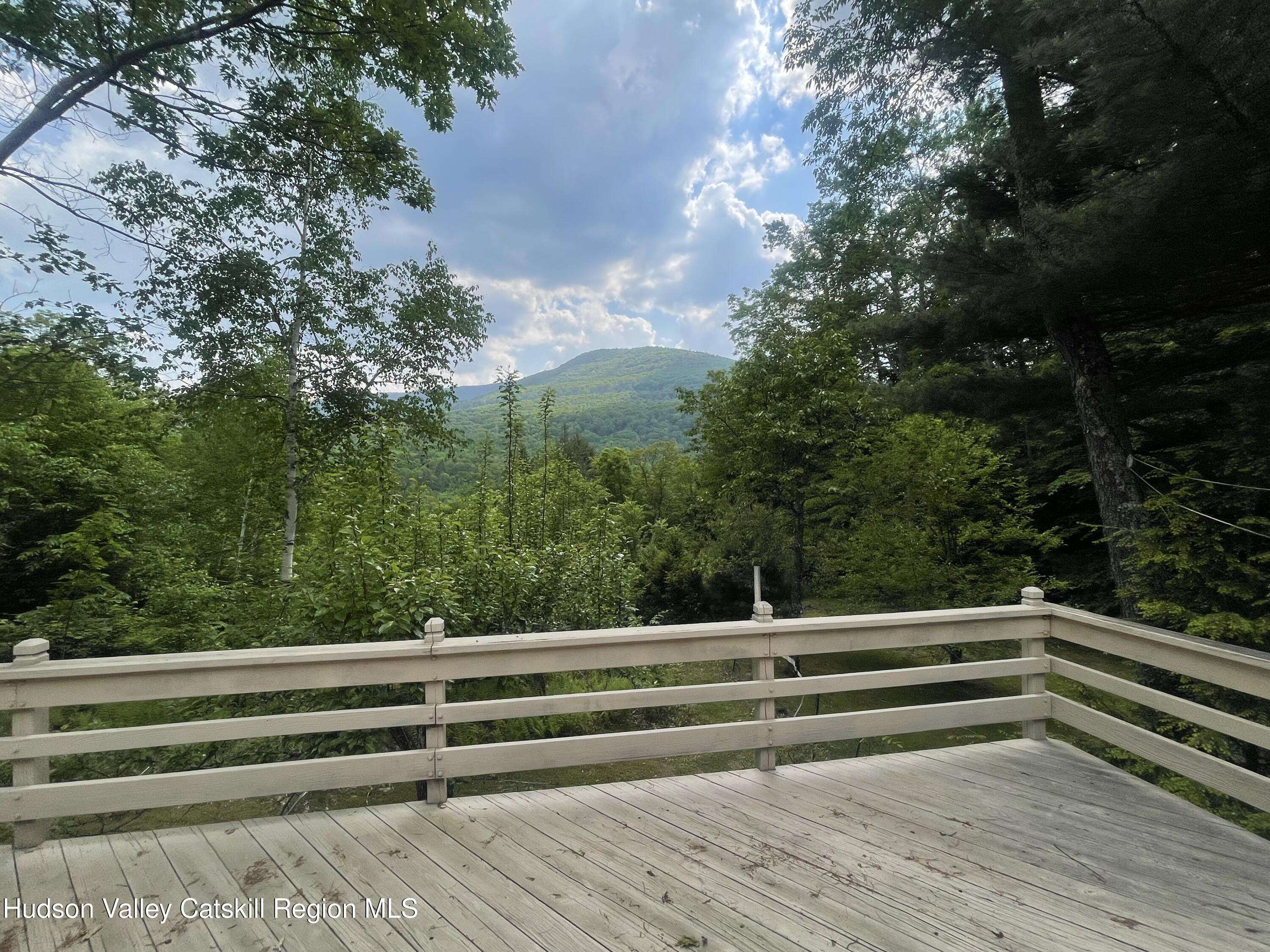 Hunter, NY 12442,47 Nannie LN