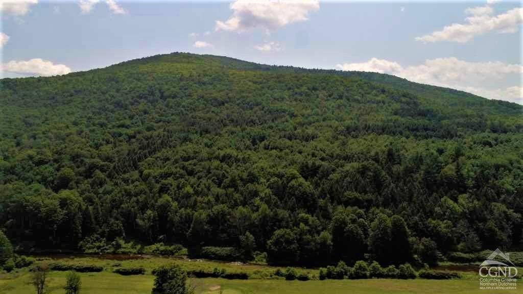 Windham, NY 12496,0 Off State Route 23