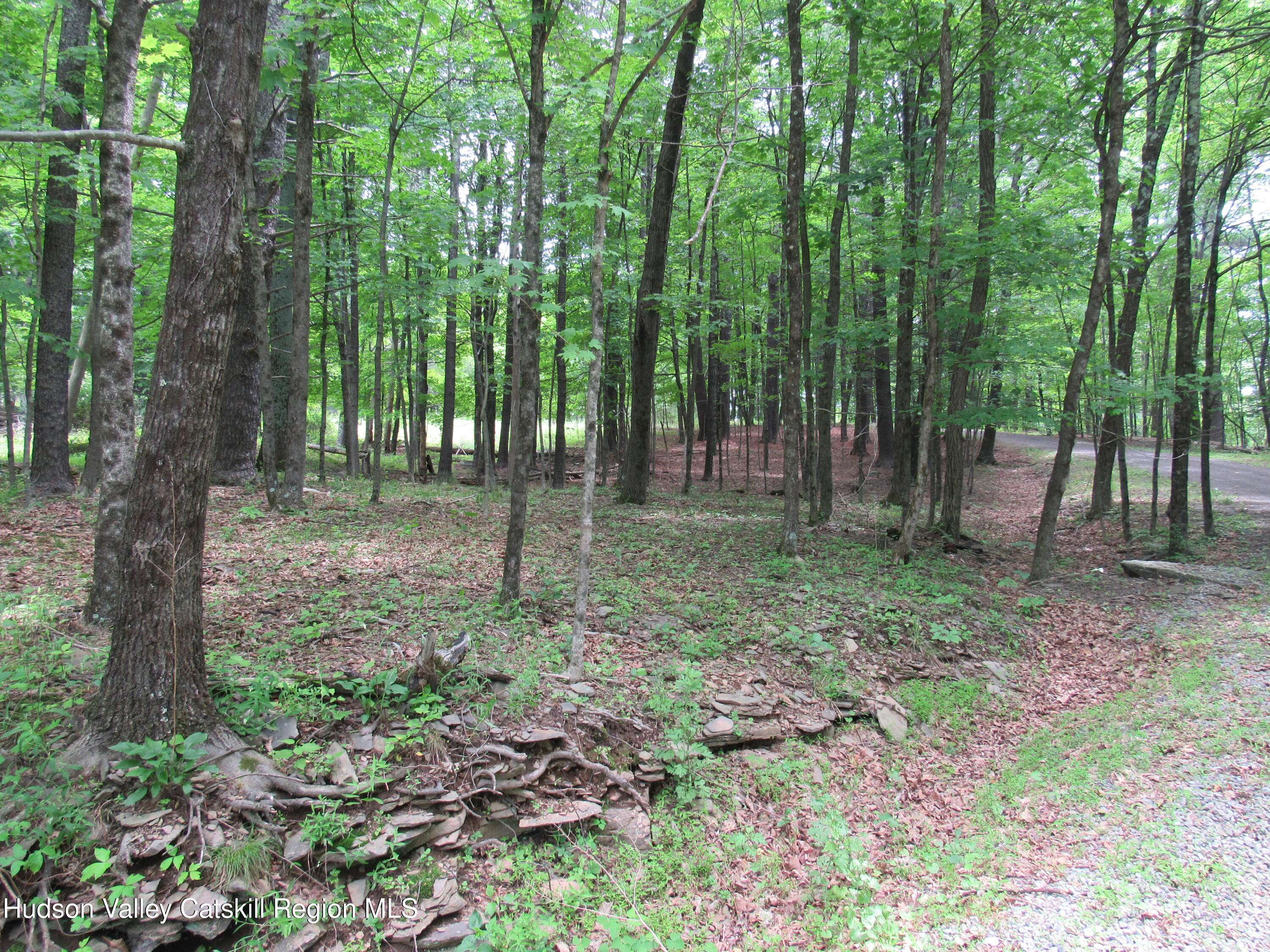 Glenford, NY 12433,773 Ohayo Mountain RD