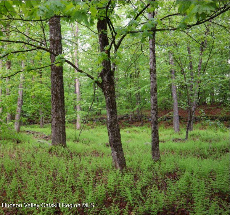 Stephentown, NY 12169,0 Black River RD