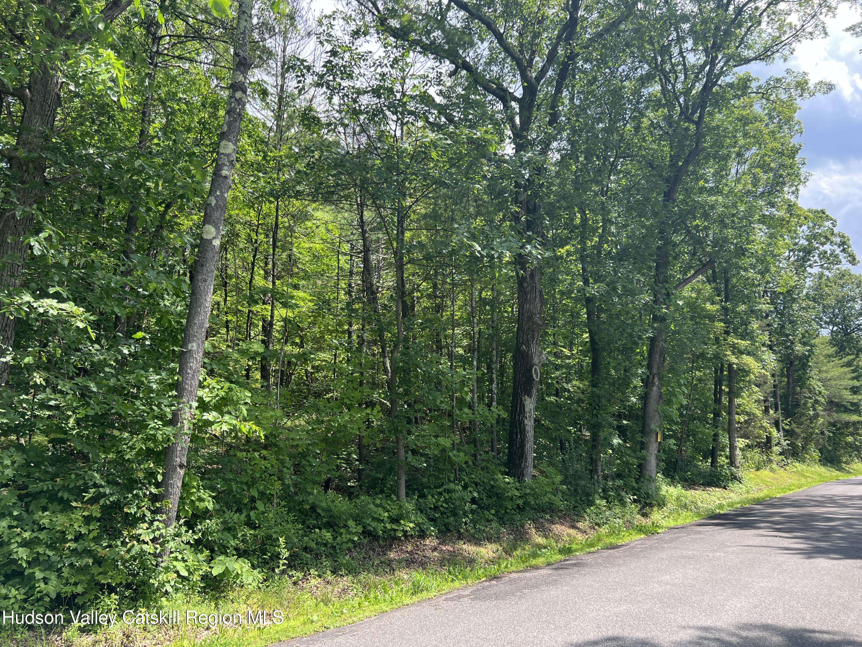 Athens, NY 12015,L20.1 Vosenkill RD