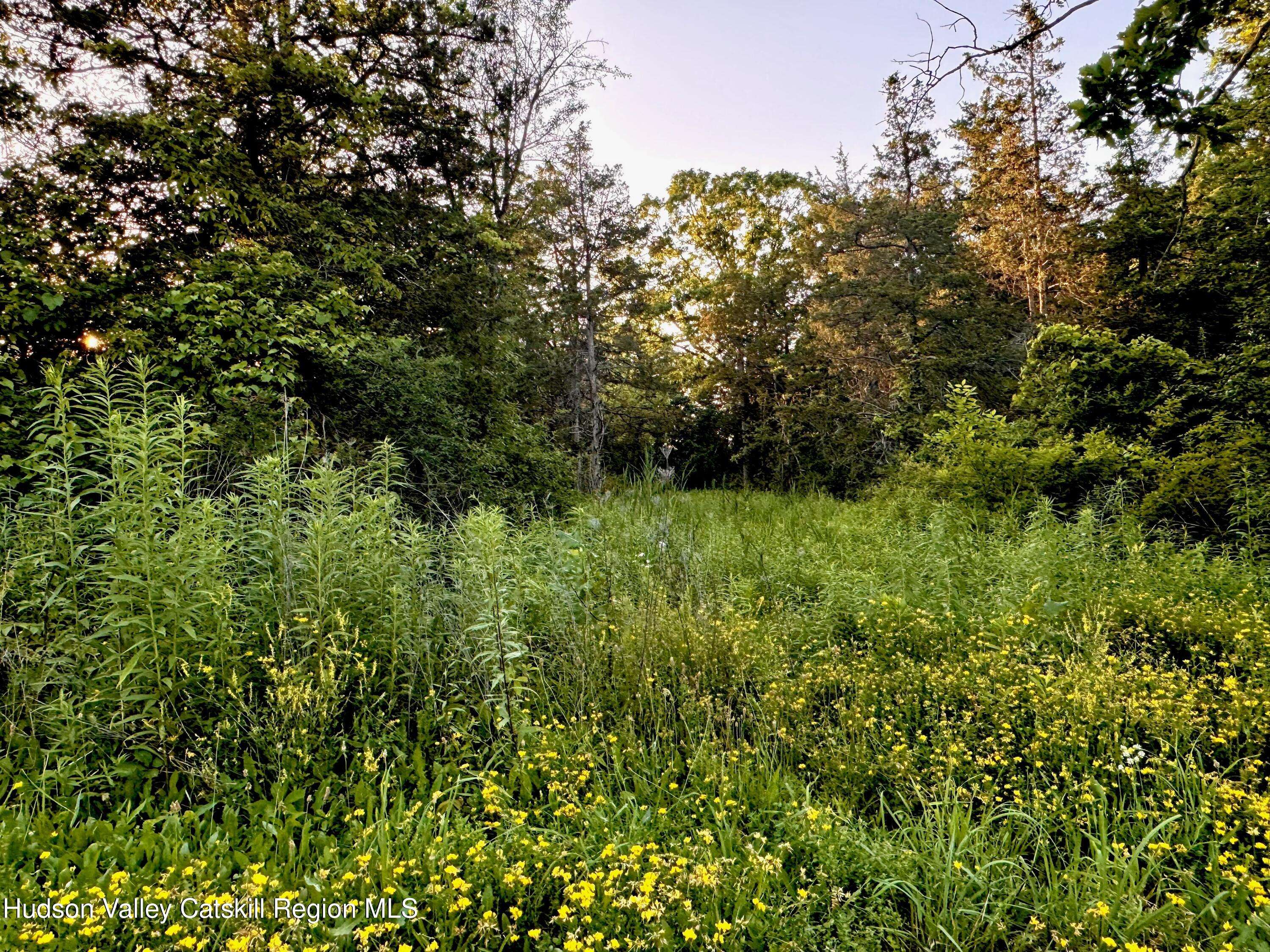 Hudson, NY 12534,Lot 7 Stickles RD