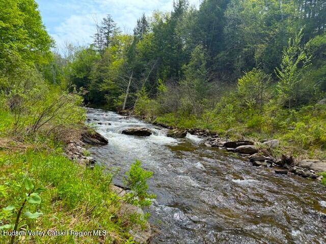 Windham, NY 12496,110 Maplecrest RD