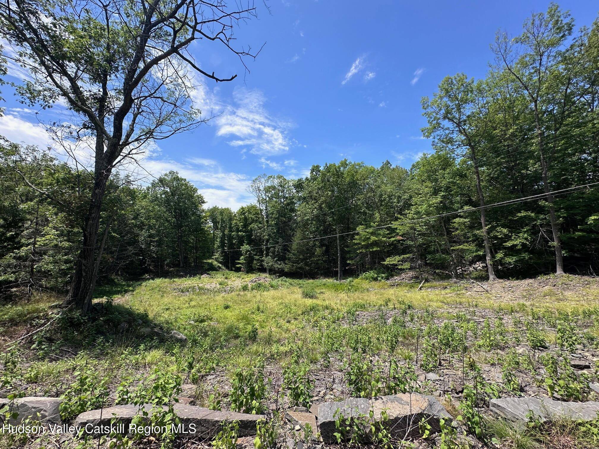 Saugerties, NY 12477,Tbd Echo Hill