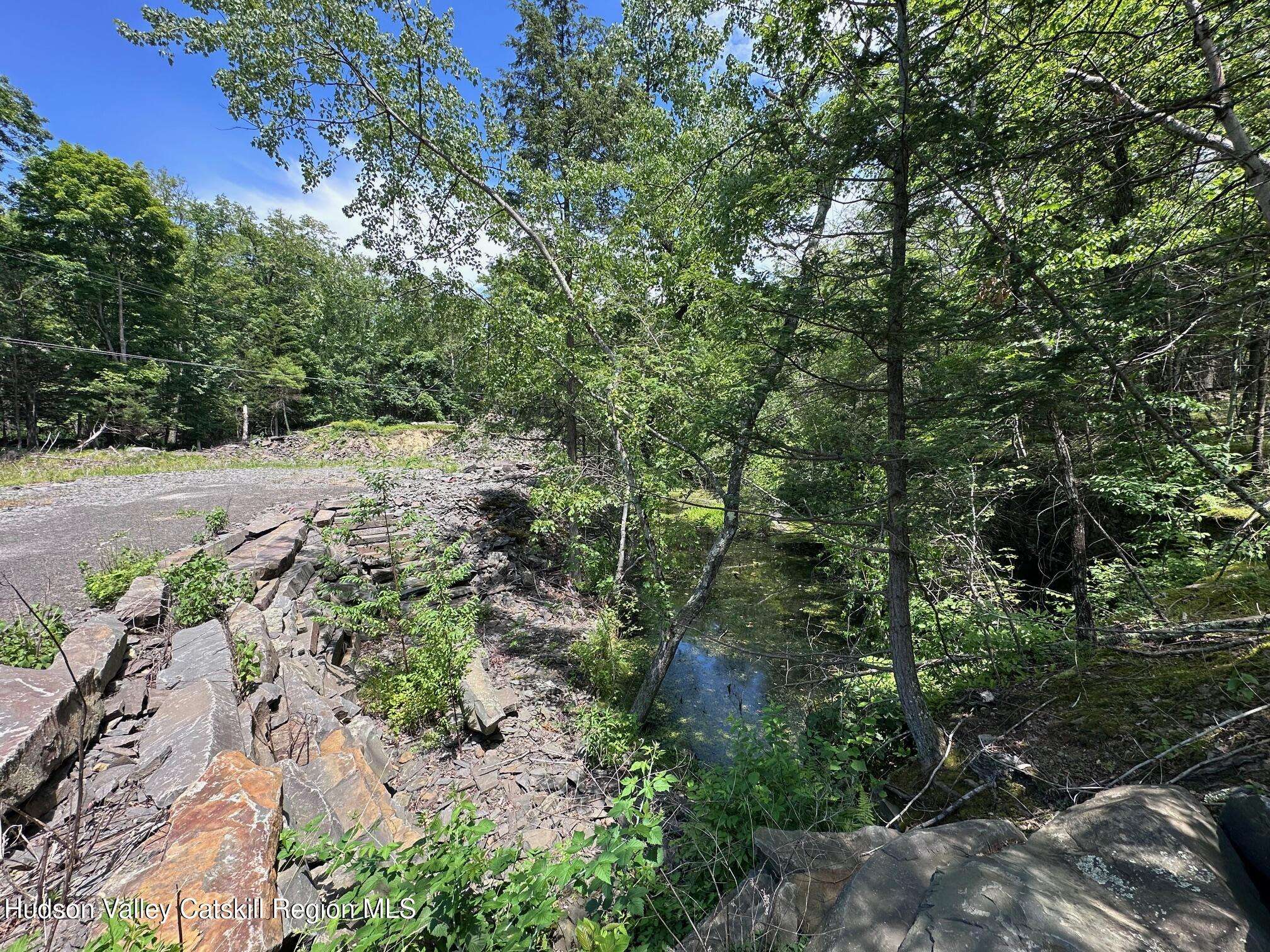 Saugerties, NY 12477,Tbd Echo Hill