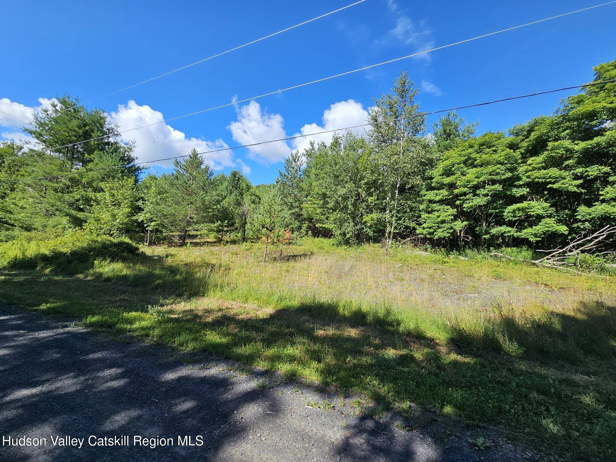 Middleburgh, NY 12122,L-16.5 Donlan Heights RD