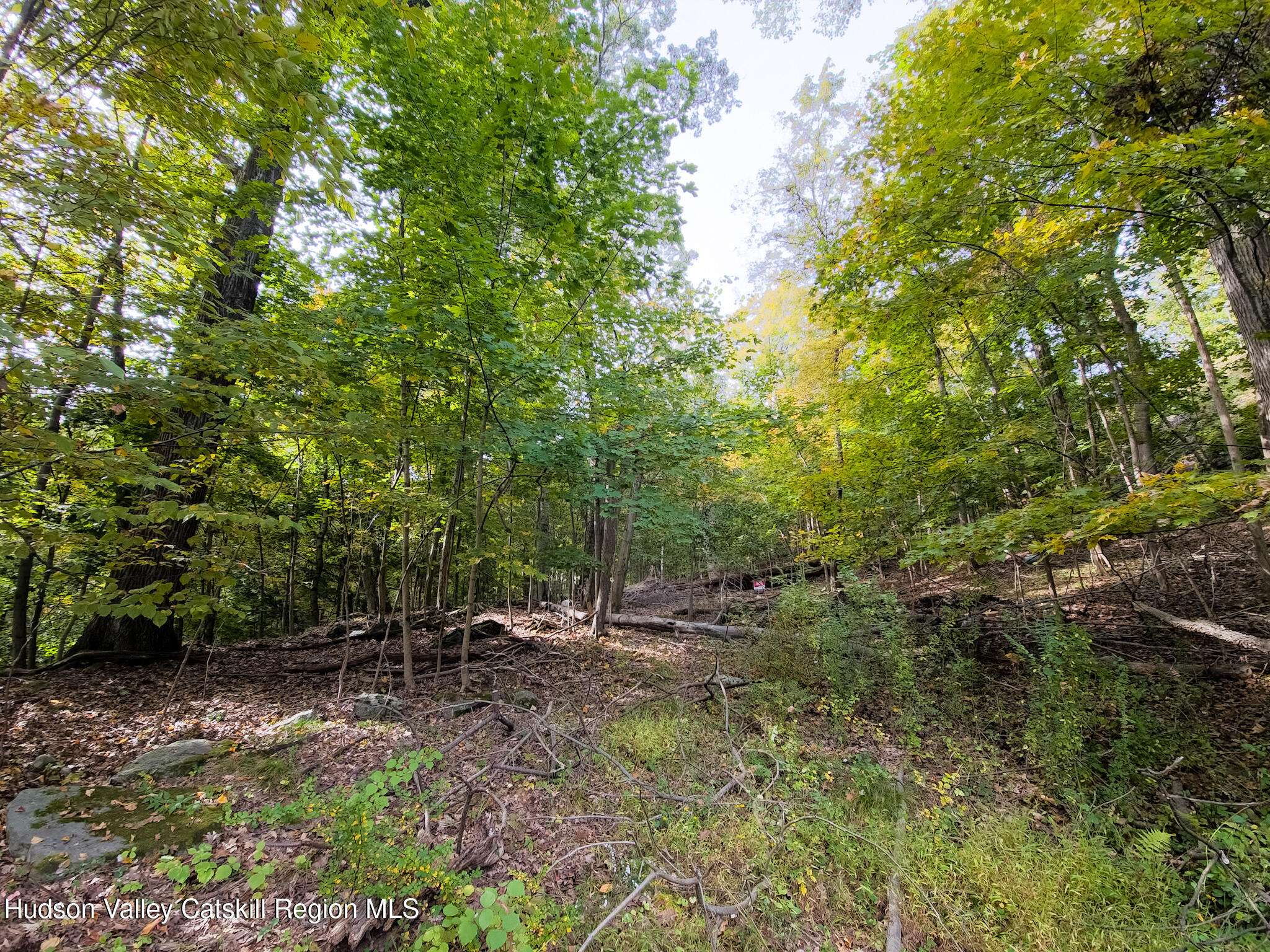 Highland, NY 12528,0 White ST