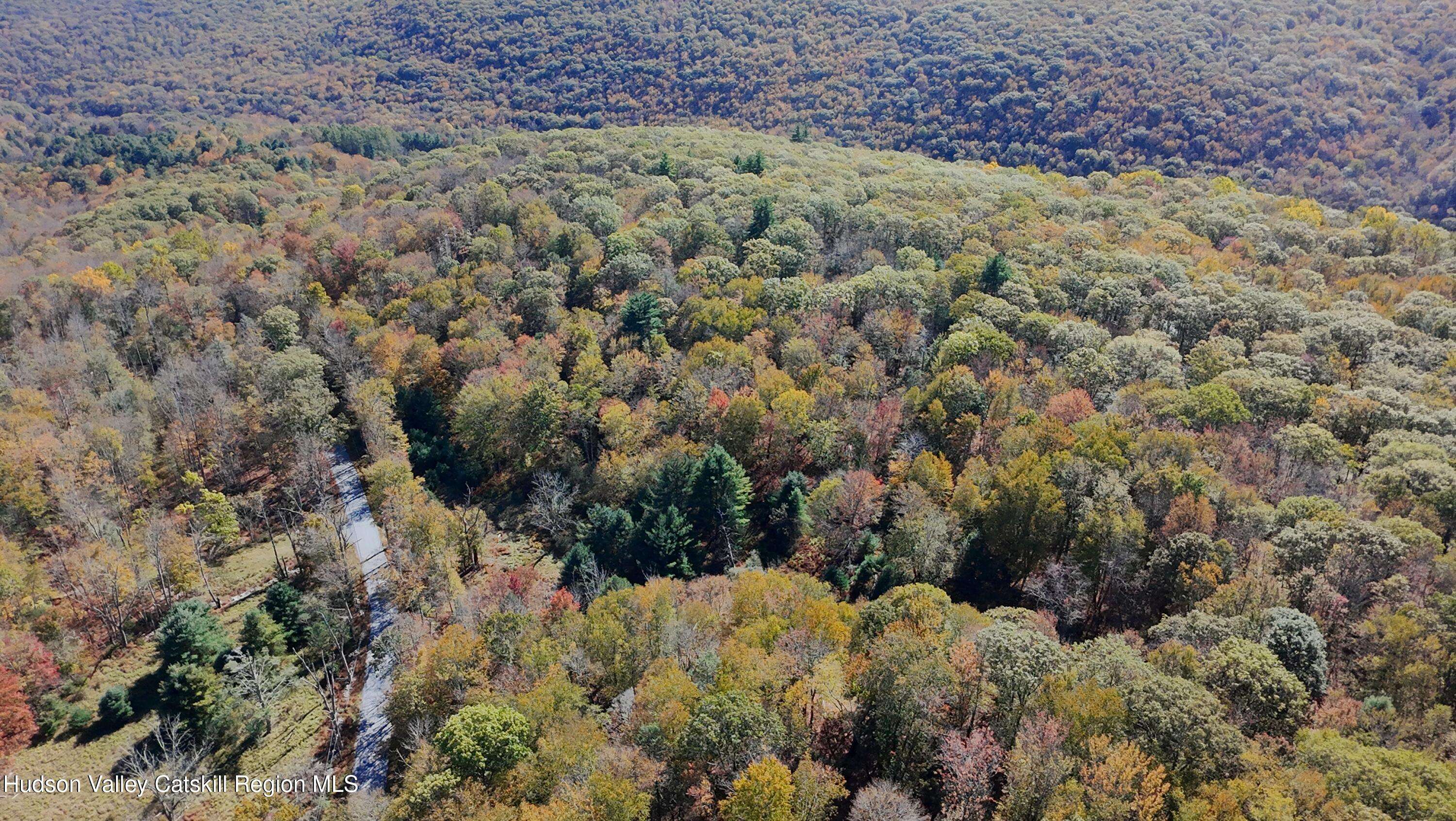 Wurtsboro, NY 12790,Tbd Aldrich RD