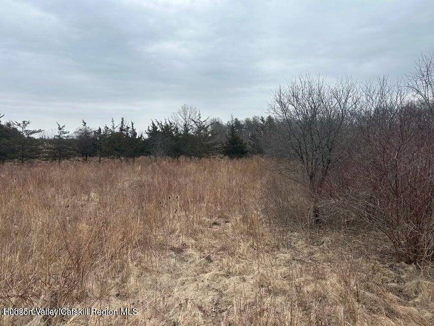 Athens, NY 12015,97 Hillside DR