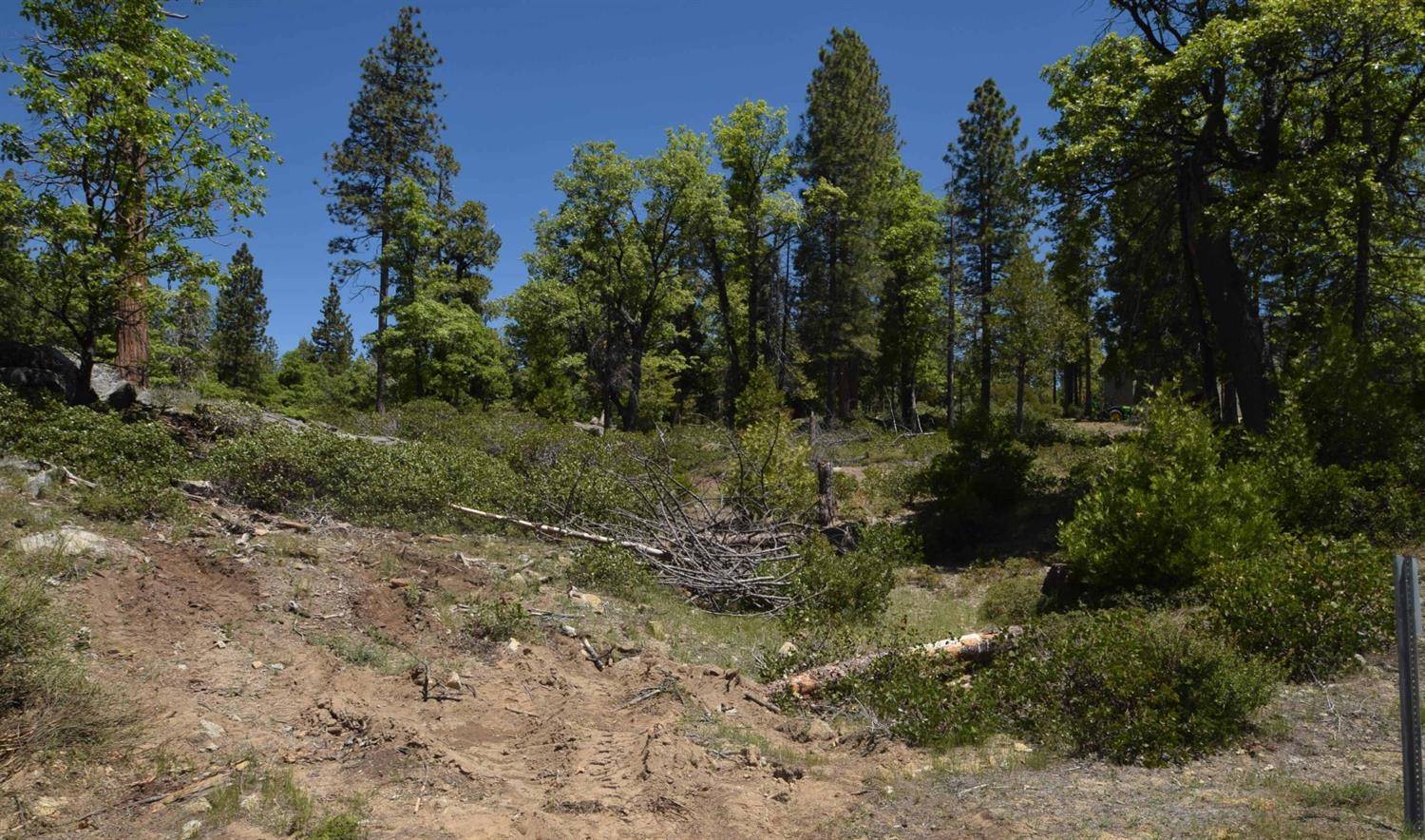 Shaver Lake, CA 93664,42251 Tourmaline Lane  #lot82