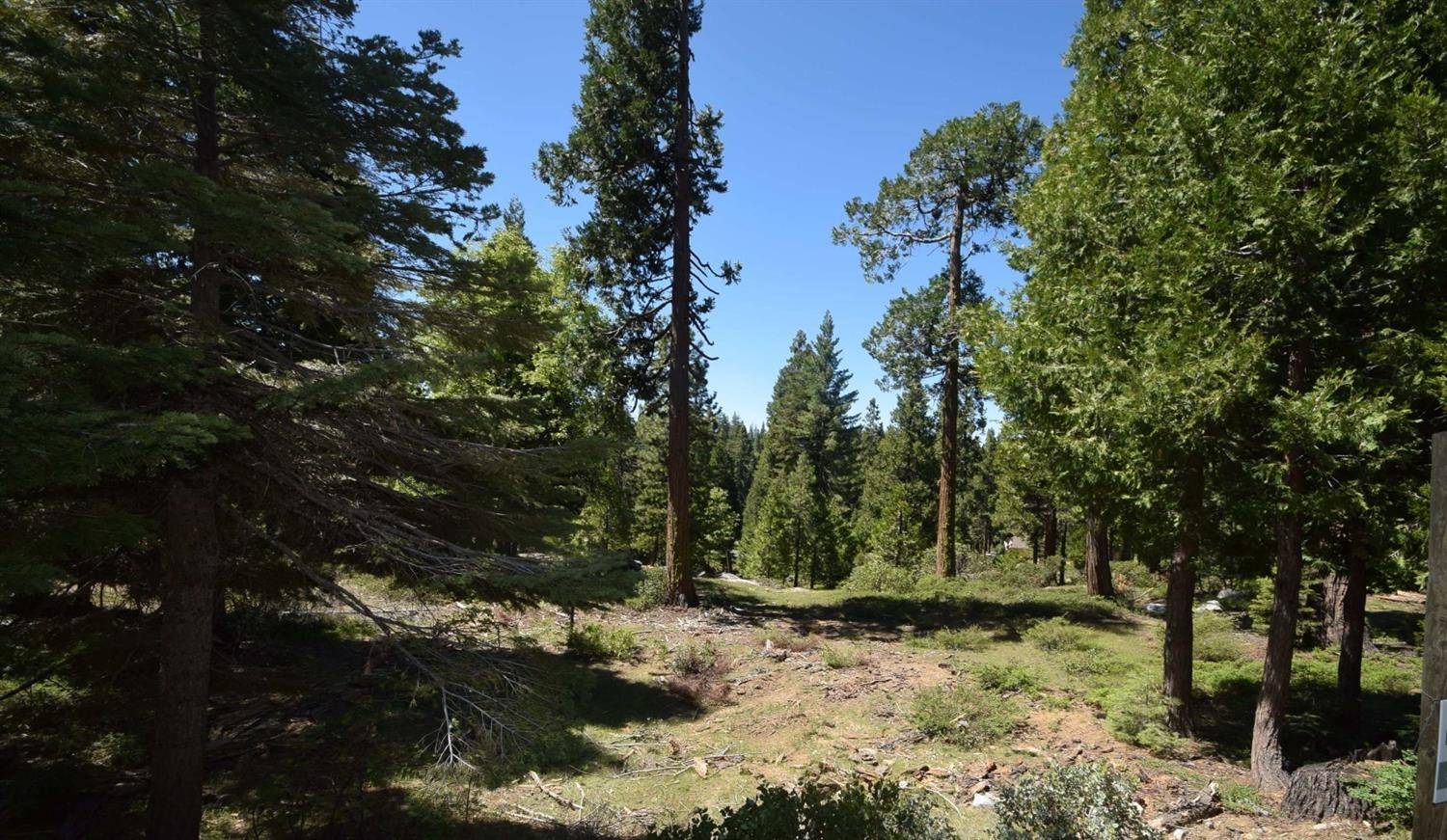 Shaver Lake, CA 93664,42208 Opal Lane  #lot74