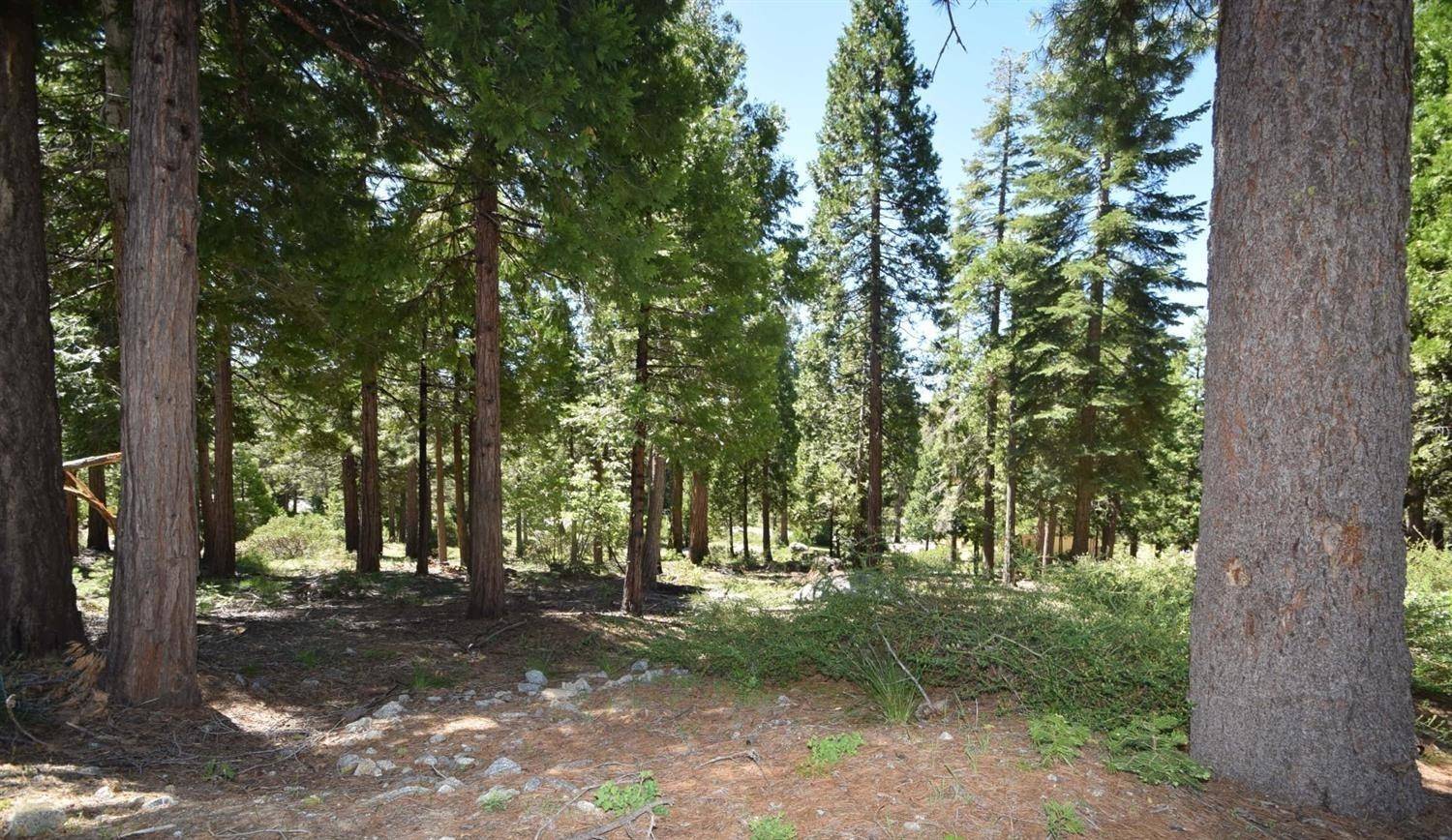 Shaver Lake, CA 93664,42036 Tourmaline Lane  #103