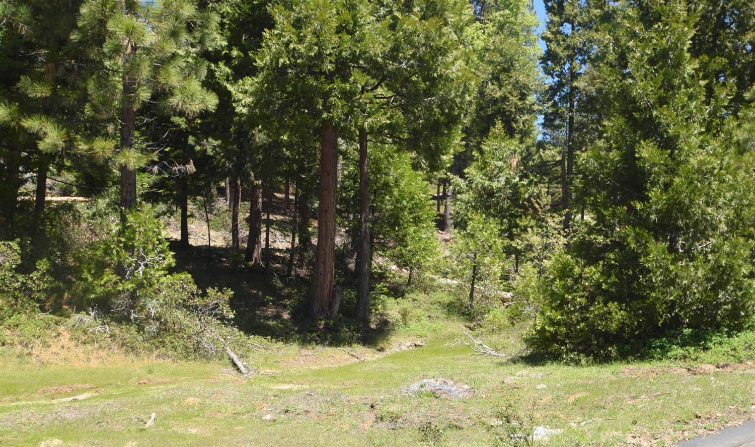 Shaver Lake, CA 93664,42101 Tourmaline Lane  #lot79