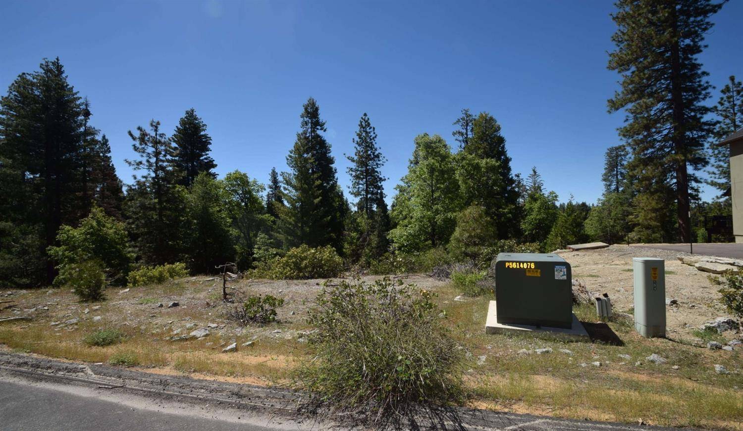 Shaver Lake, CA 93664,42456 Opal Lane  #lot69