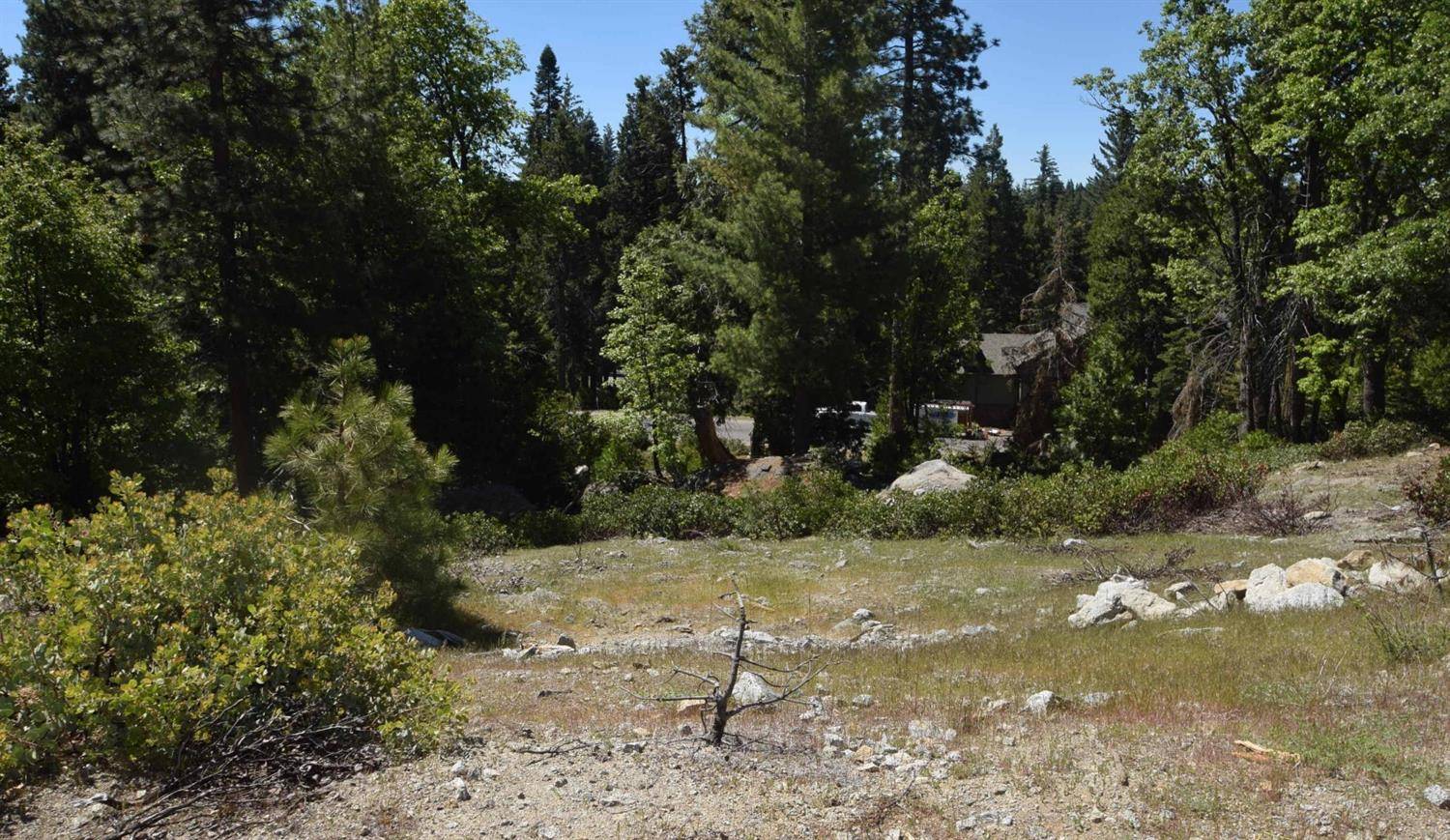 Shaver Lake, CA 93664,42456 Opal Lane  #lot69