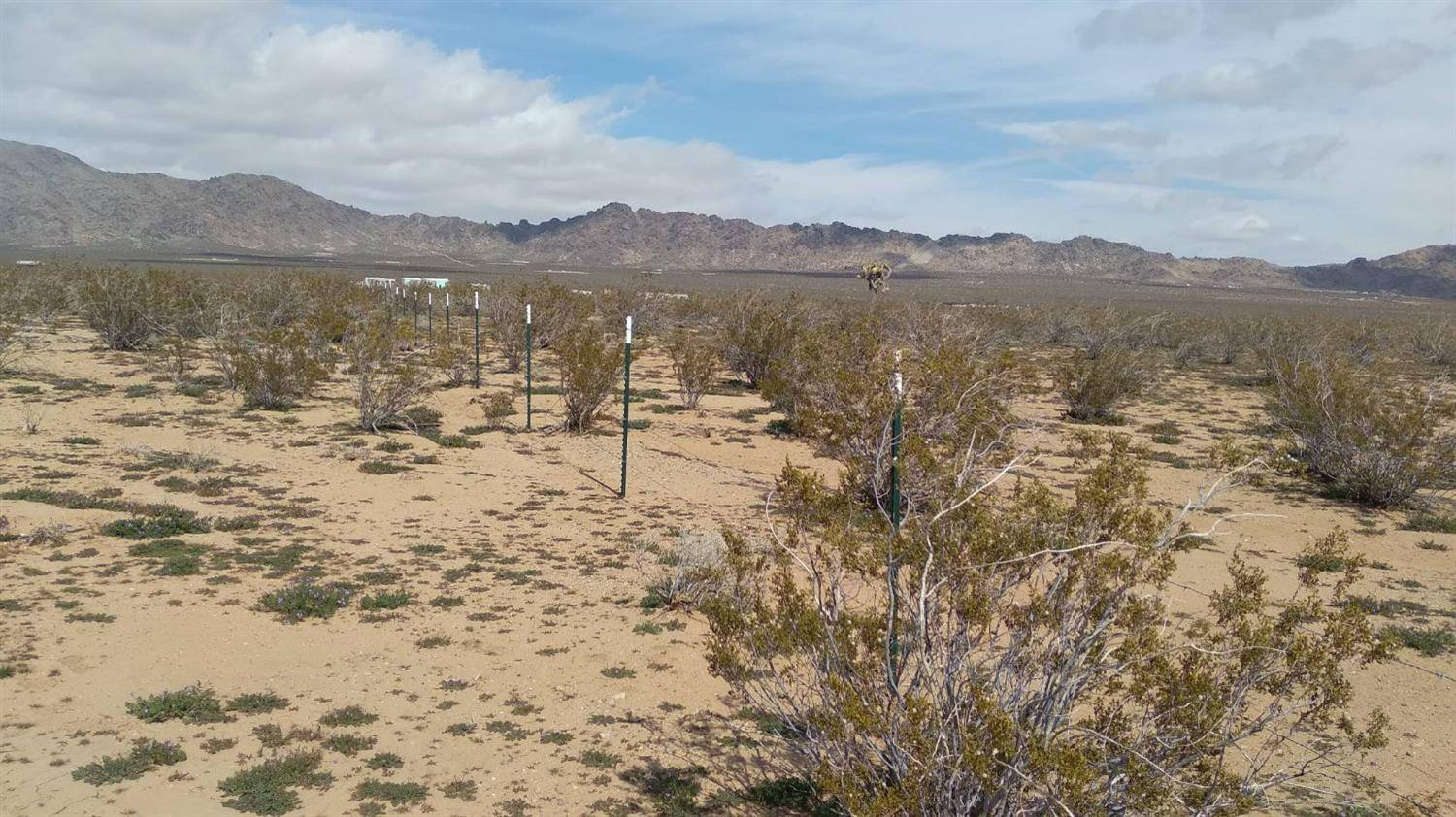 Lucerne Valley, CA 92356,0 0000-000