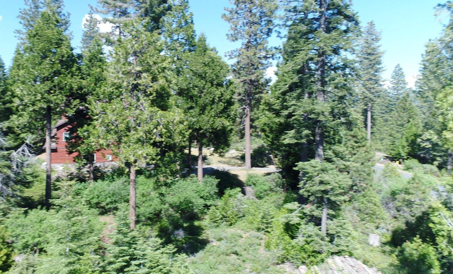 Shaver Lake, CA 93664,40902 Wild Iris Ln Lane