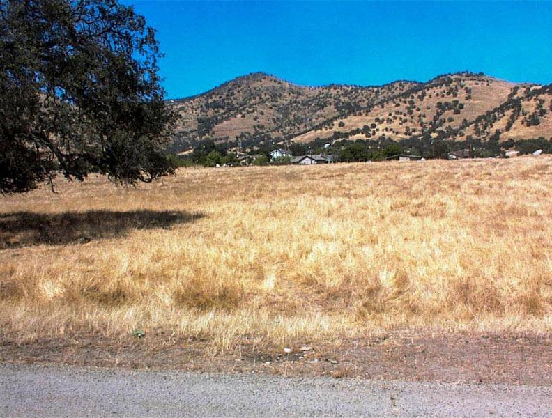 Wonder Valley, CA 93657,249 Live Oak Drive