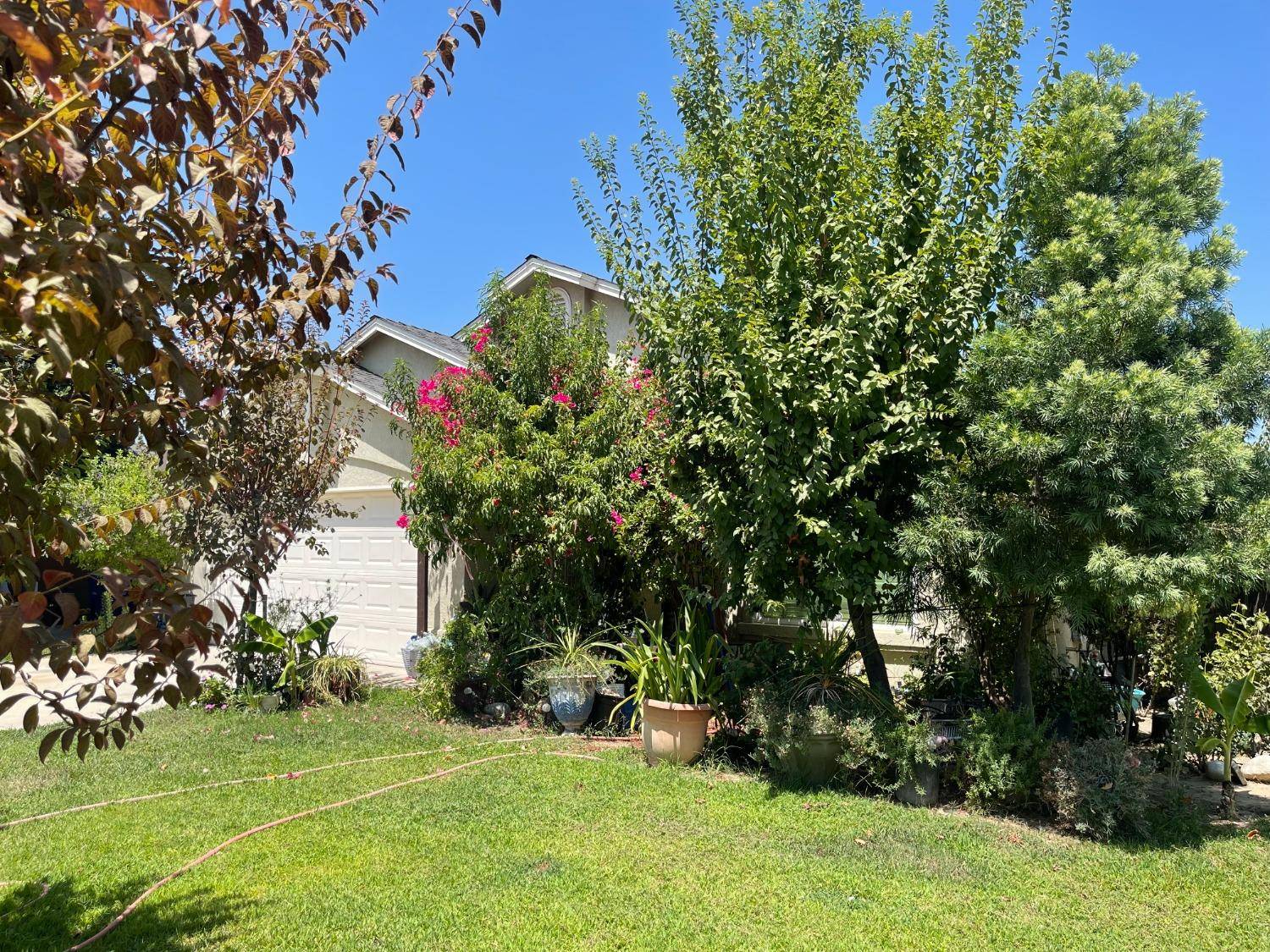 Selma, CA 93662,2772 Mill Street