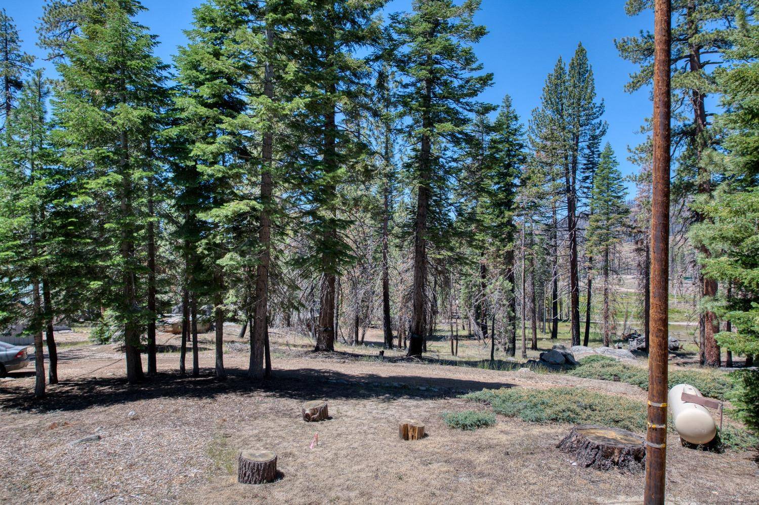 Huntington Lake, CA 93634,60899 Bear Paw Lane