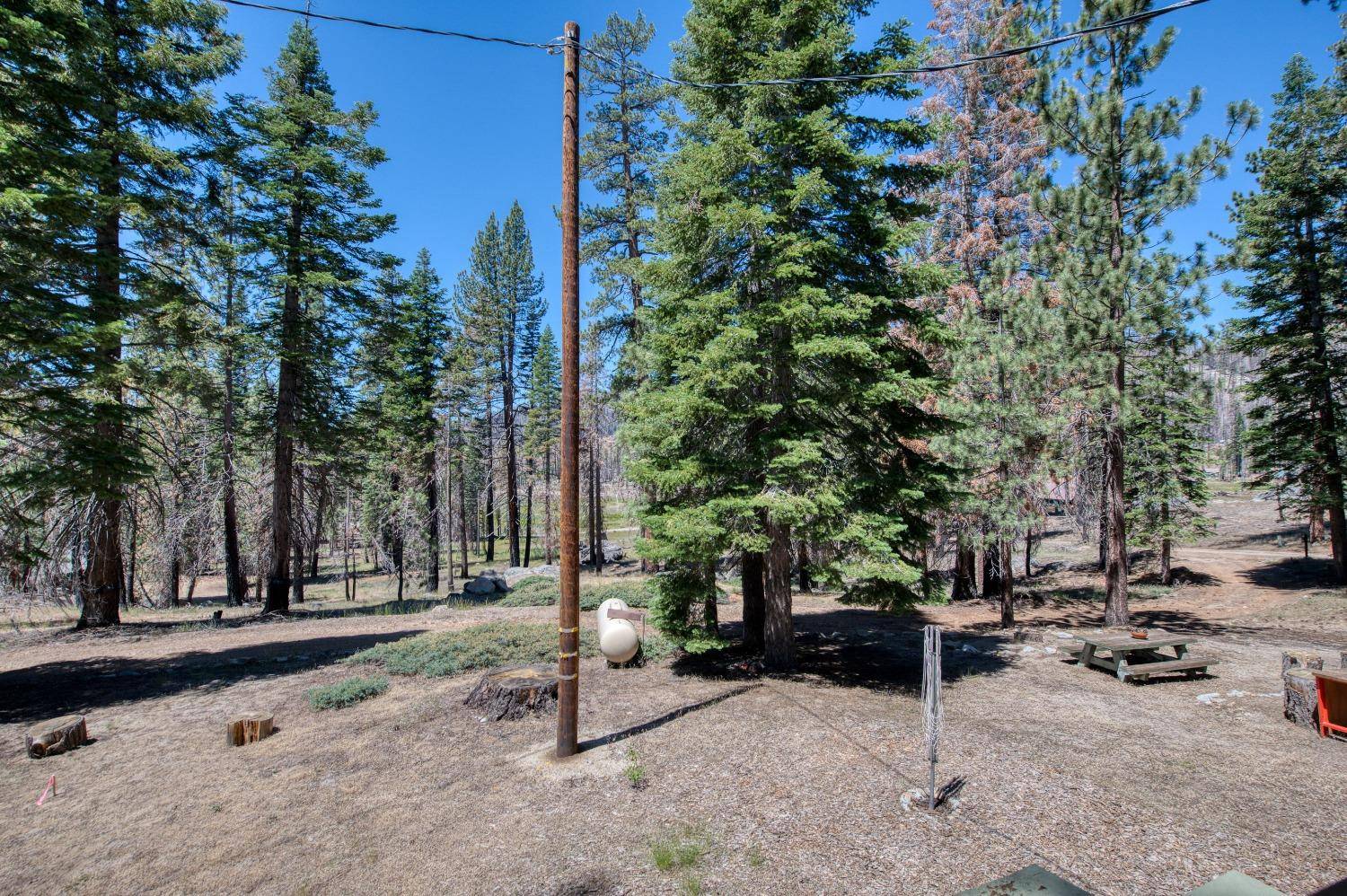 Huntington Lake, CA 93634,60899 Bear Paw Lane