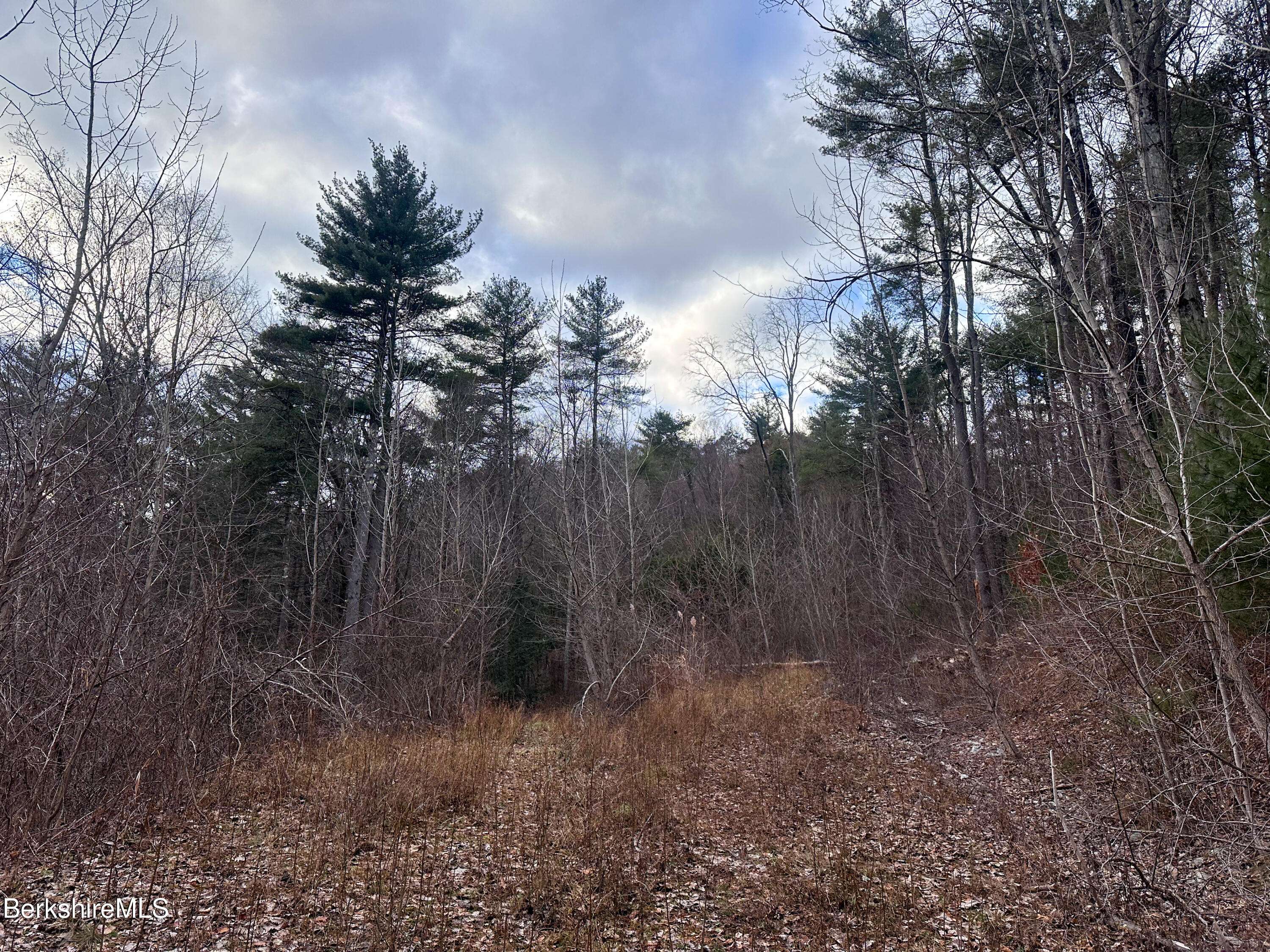 Stockbridge, MA 01262,0 Glendale Rd