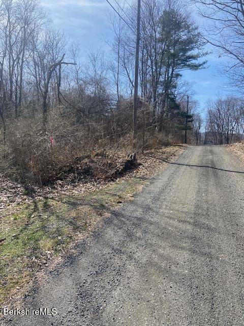 Lanesborough, MA 01237,0 Umbagog St