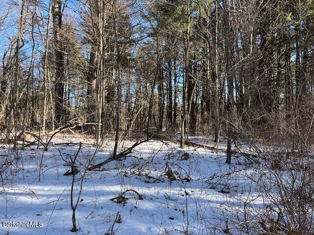 New Marlborough, MA 01230,0 Tamaridge Rd