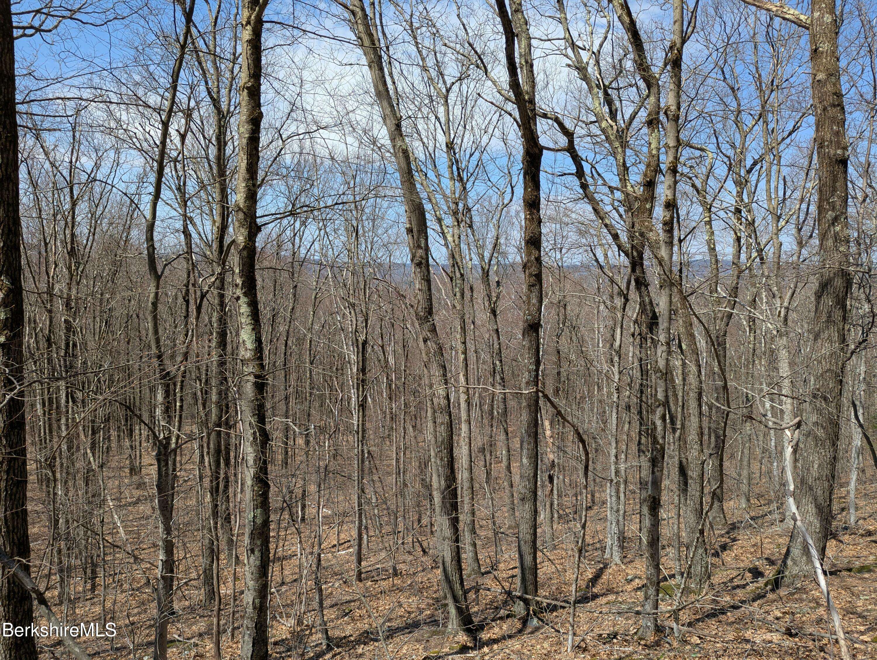 West Stockbridge, MA 01266,0 Lenox Rd