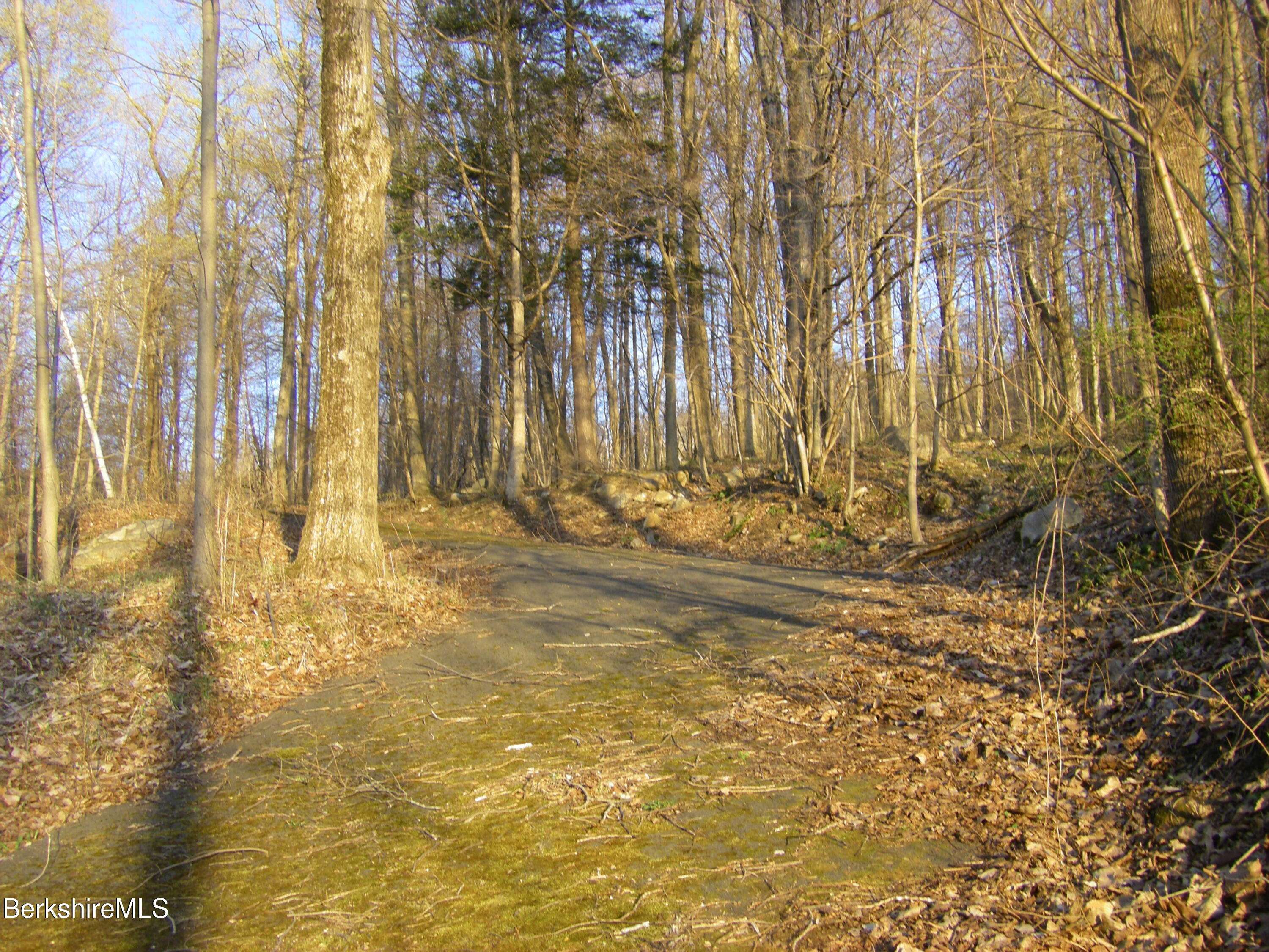 North Adams, MA 01247,0 Notch Rd