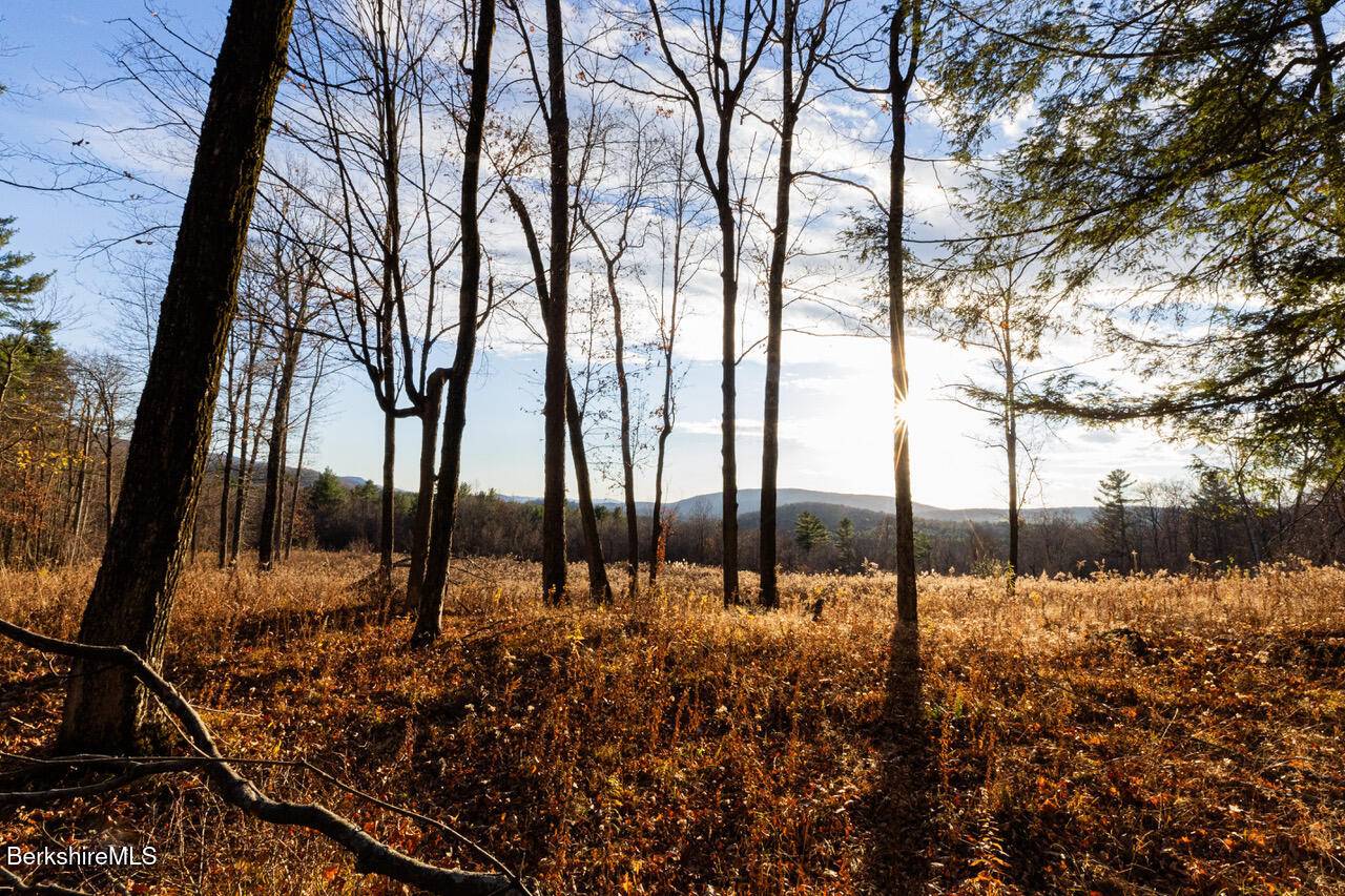 Hillsdale, NY 12529,Mitchell St