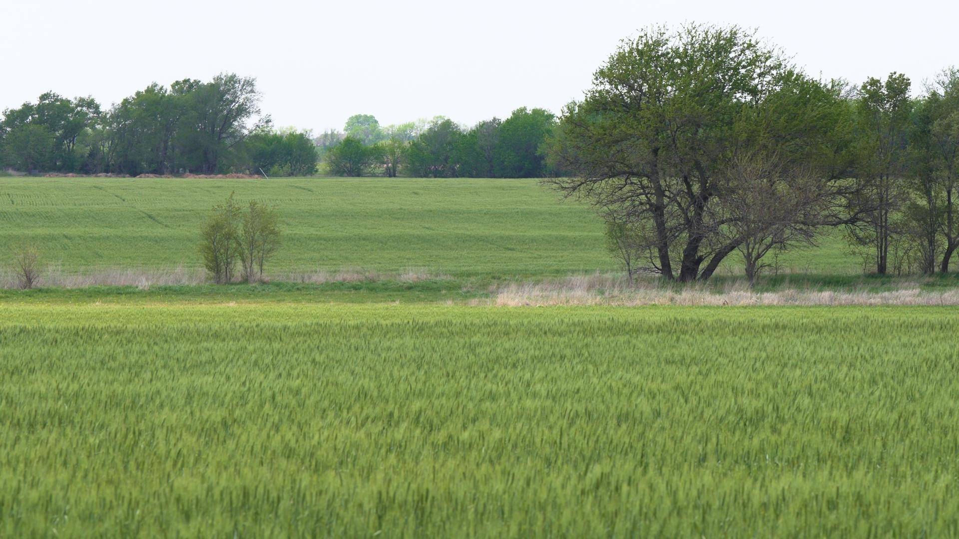 Goddard, KS 67052,Lot 15 Block 3 Dry Creek Estates